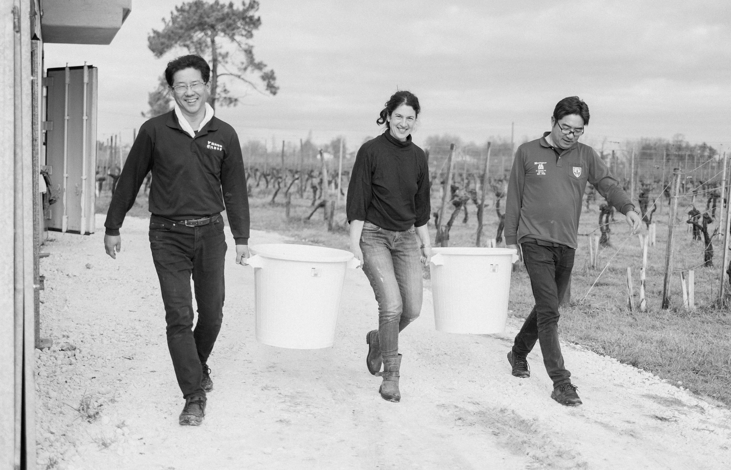 Trois personnes, deux hommes et une femme, marchant dans un vignoble avec des seaux en plastique dans leurs mains, souriant.