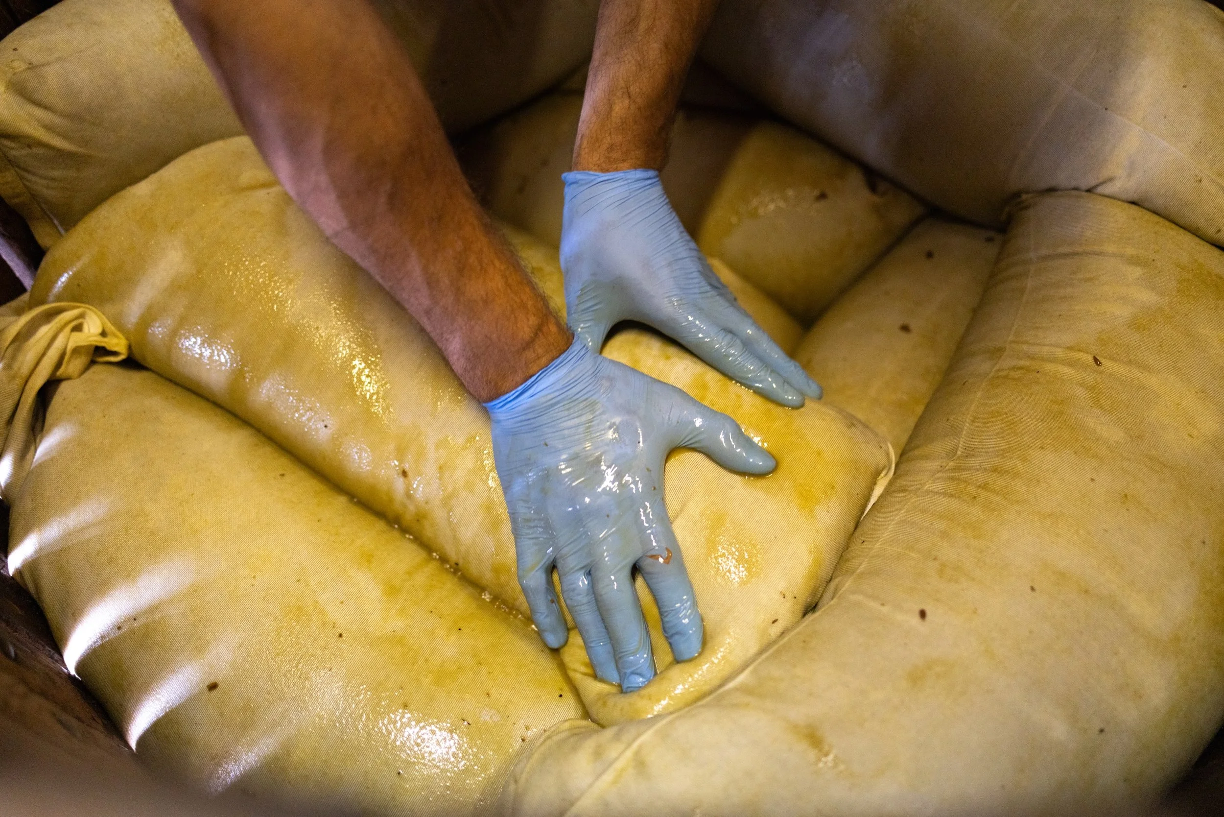 Personne portant des gants en plastique pressant du fromage dans une caisse en bois