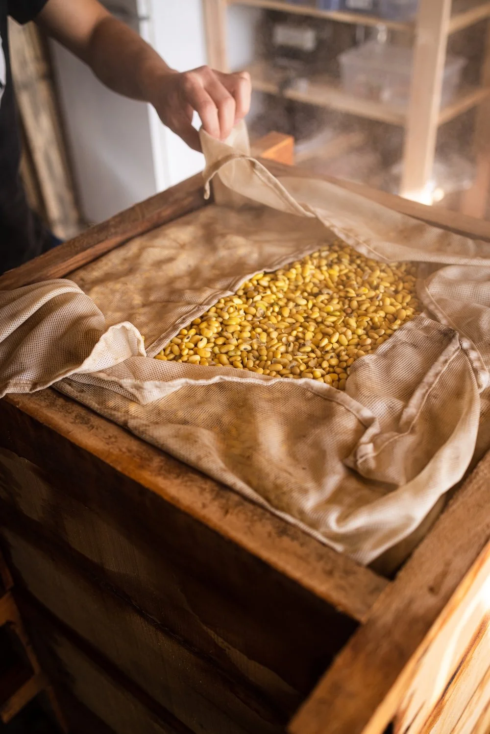 Fèves de soja dans un sac en tissu placé dans une boîte en bois, dans un environnement de ferme ou d'atelier