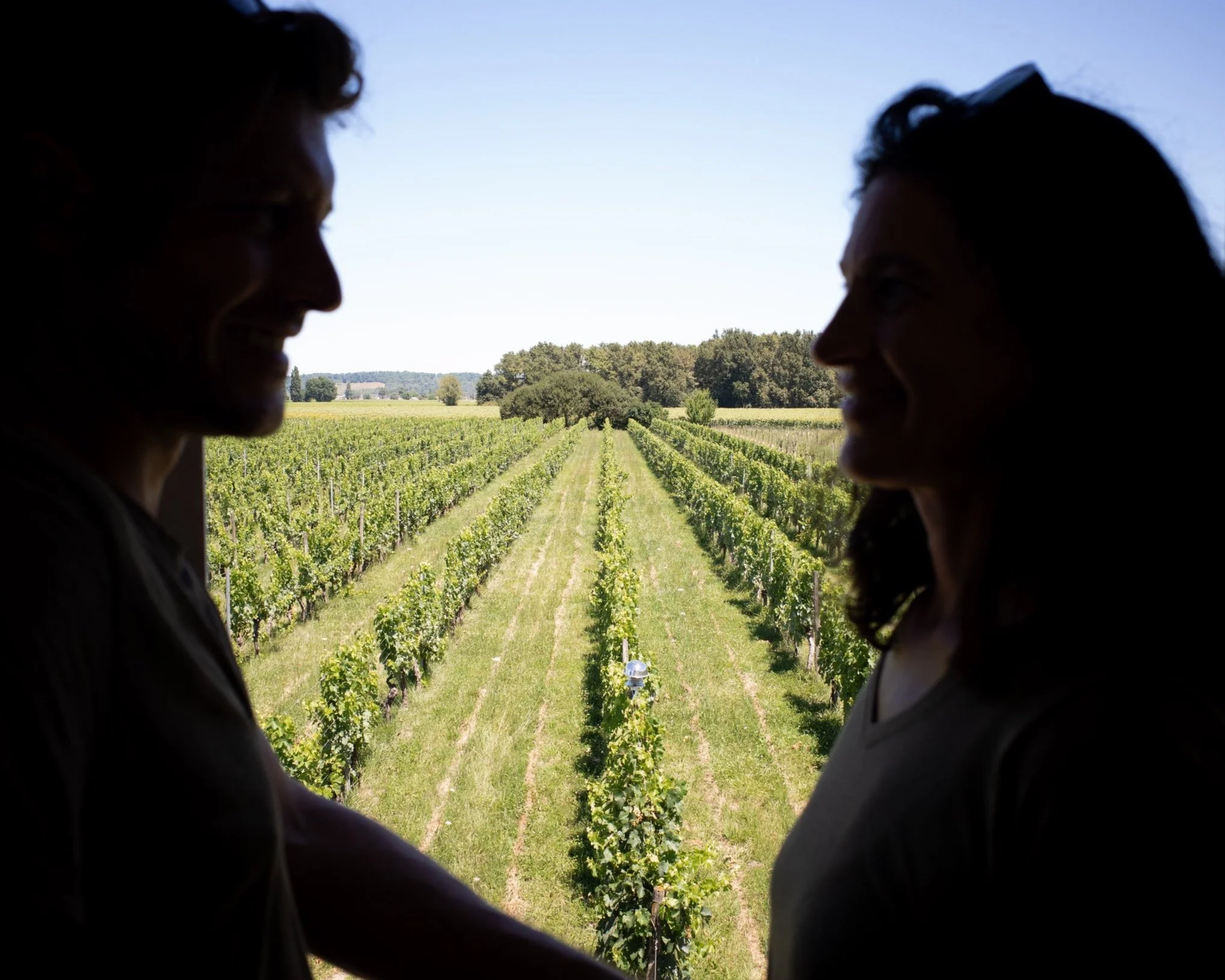 Deux personnes en silhouette regardant par une fenêtre sur un vignoble en plein jour.