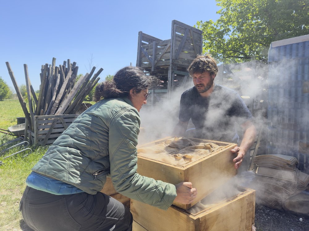 Deux personnes, un homme et une femme, manipulent une boîte en bois contenant probablement des blocs de cire ou de miel, en utilisant de la fumée, en plein air avec des structures en bois en arrière-plan.