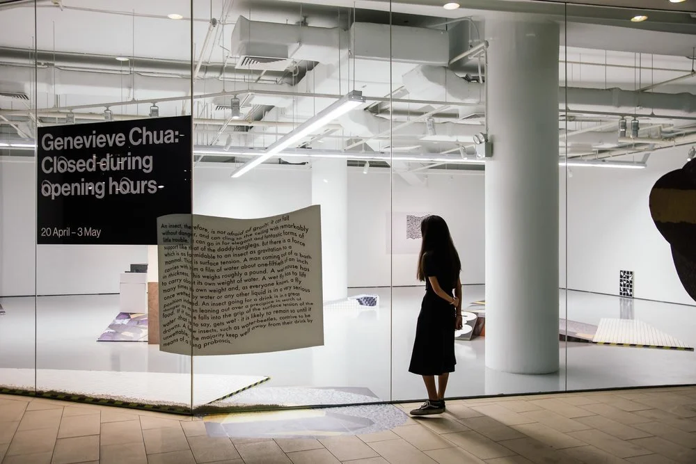 Conversation with Genevieve Chua