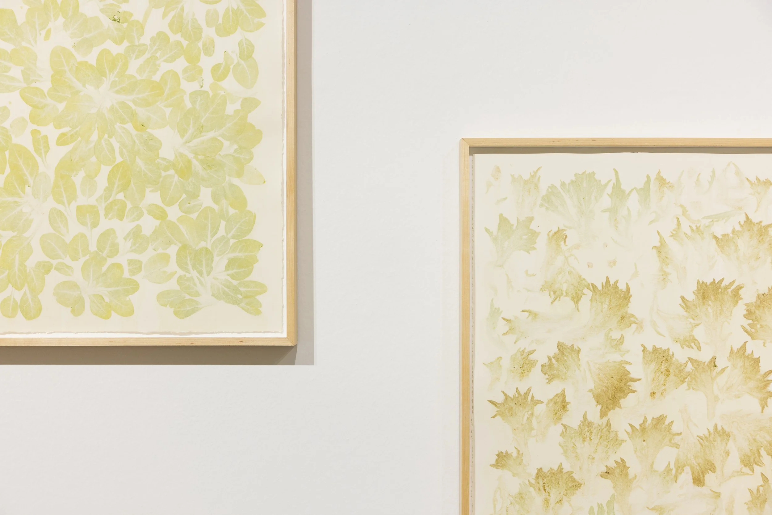 The Lines Fall Where They May , 2021, exhibition installation view. Image courtesy of STPI.