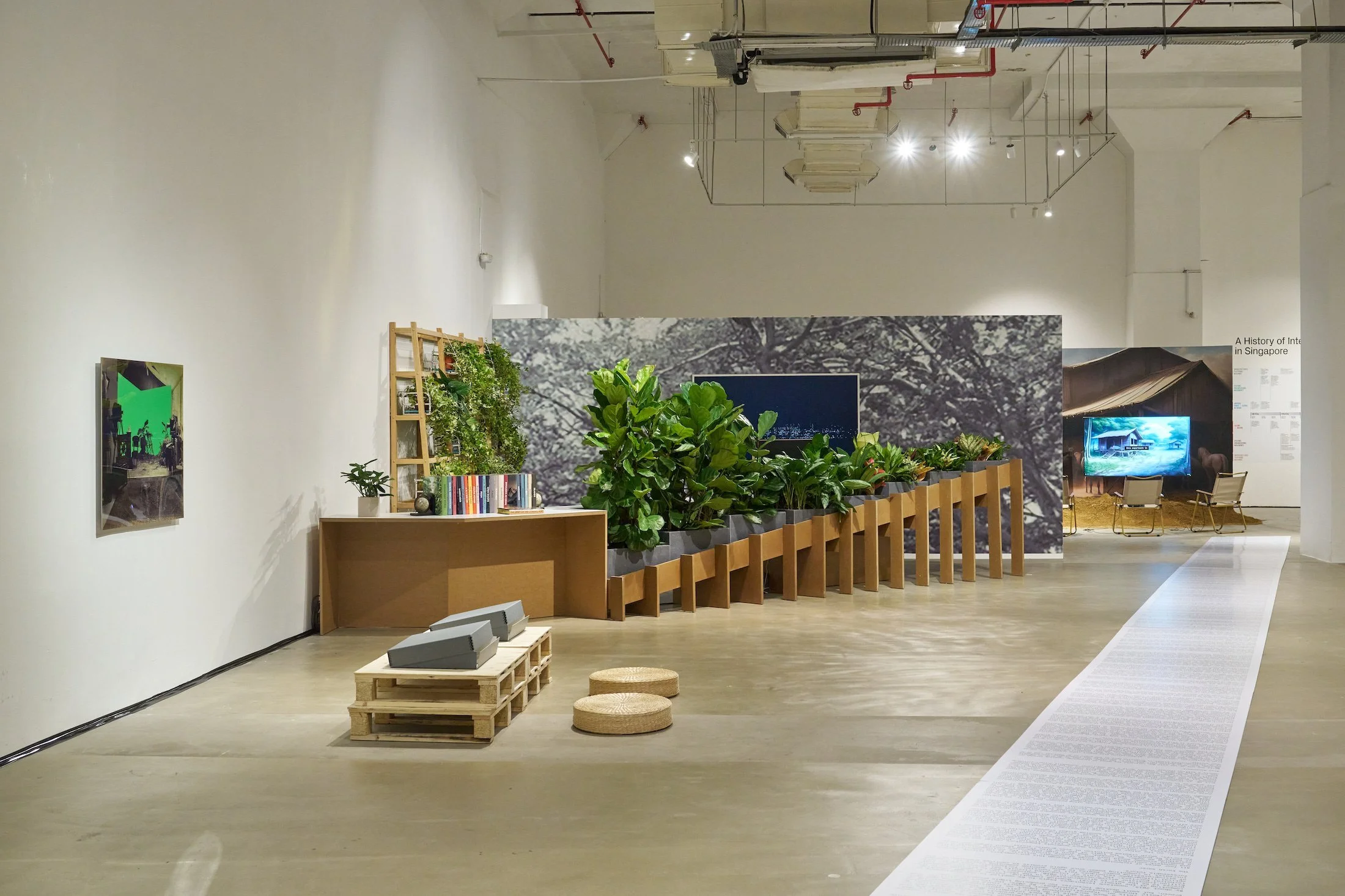 Conversation with Singaporean Artist Ho Rui An