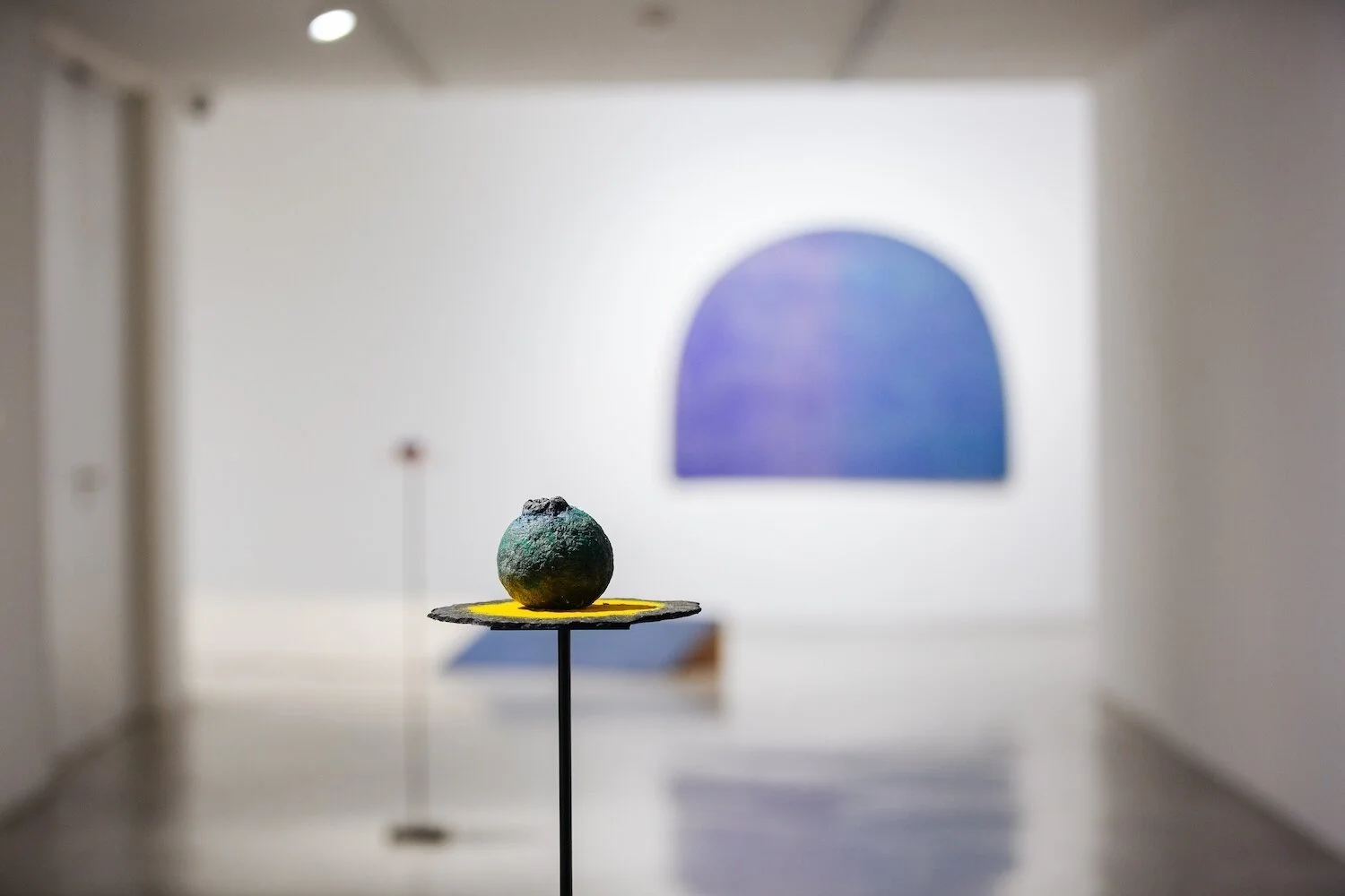 ‘Strange Forms of Life’ at STPI Gallery