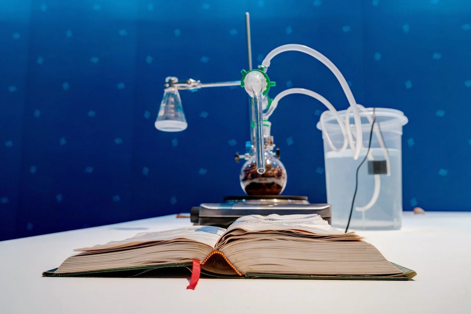 June 2019 Round-Up