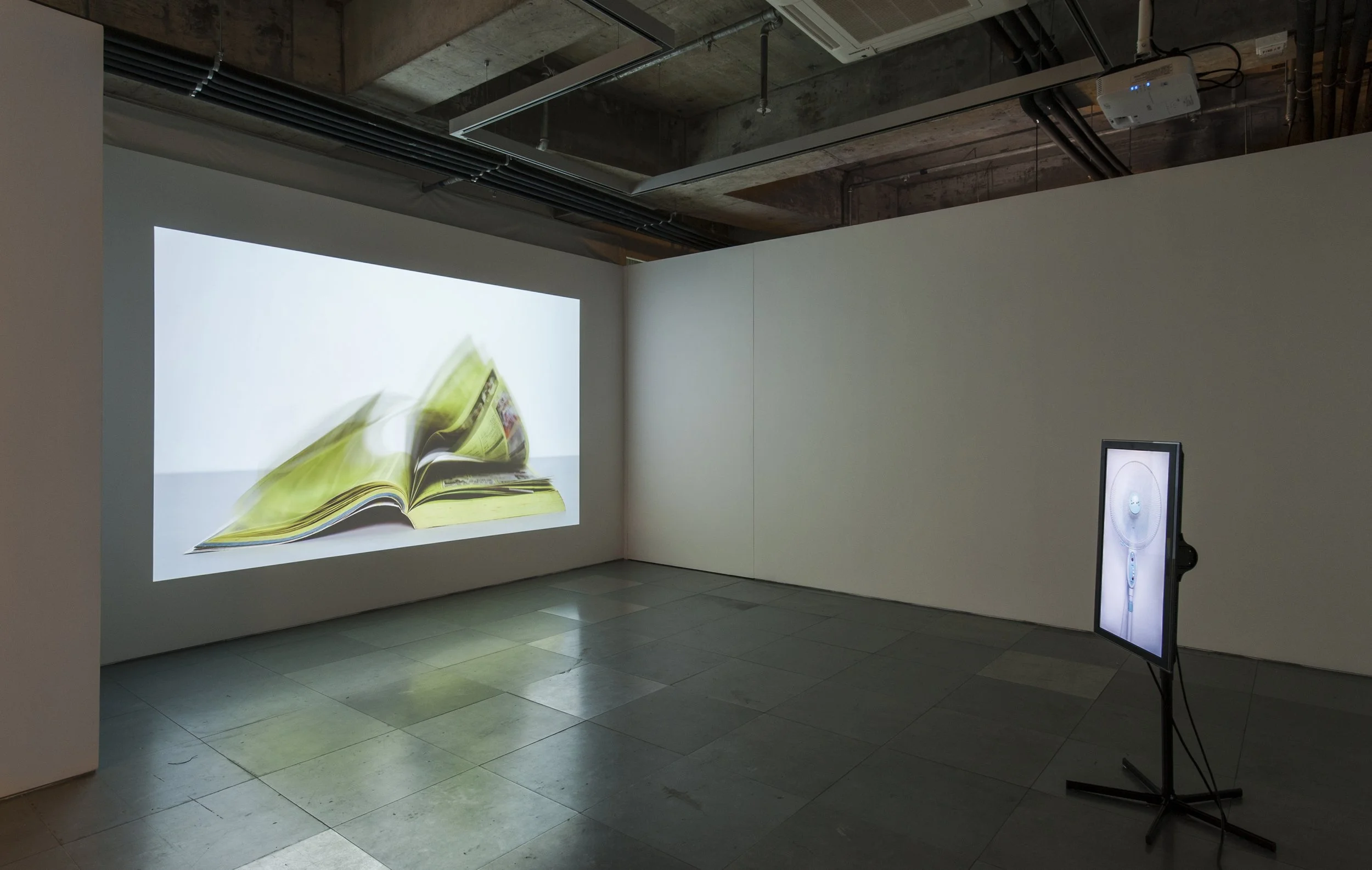 Tromarama, Intercourse, 2015, two channel video, 4min 10sec. Photo by Ruddy Hatumena. Image courtesy of the artist and Kiang Malingue. Installation view of Panoramix, Kiang Malingue, Hong Kong, 2015.