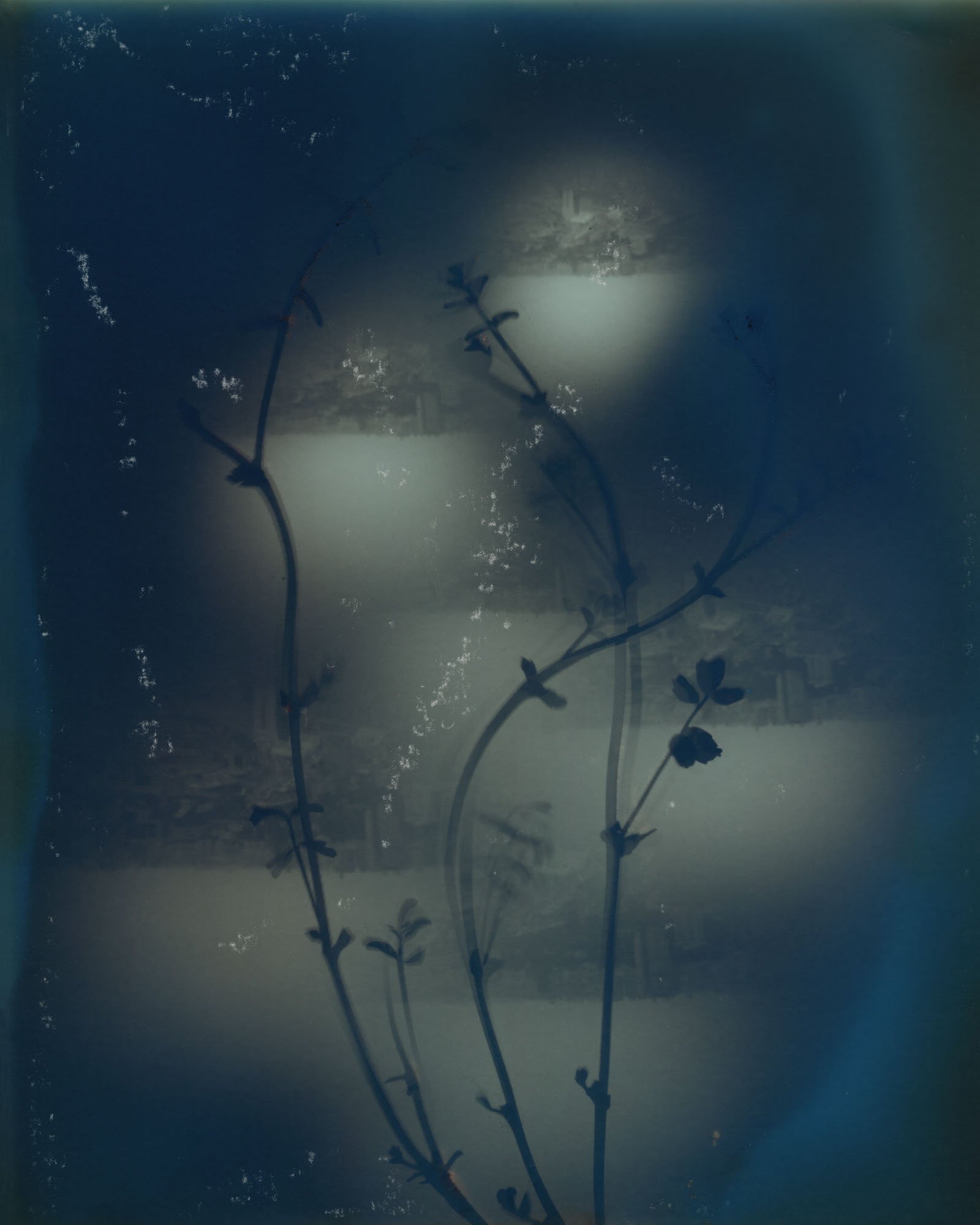 Lavender Chang, #47-03, 2015-16, fine art archival print, edition of 5 + 2 artist’s proofs, 25.4 x 20.3cm and 125 x 100cm. Image courtesy of the artist and FOST Gallery.