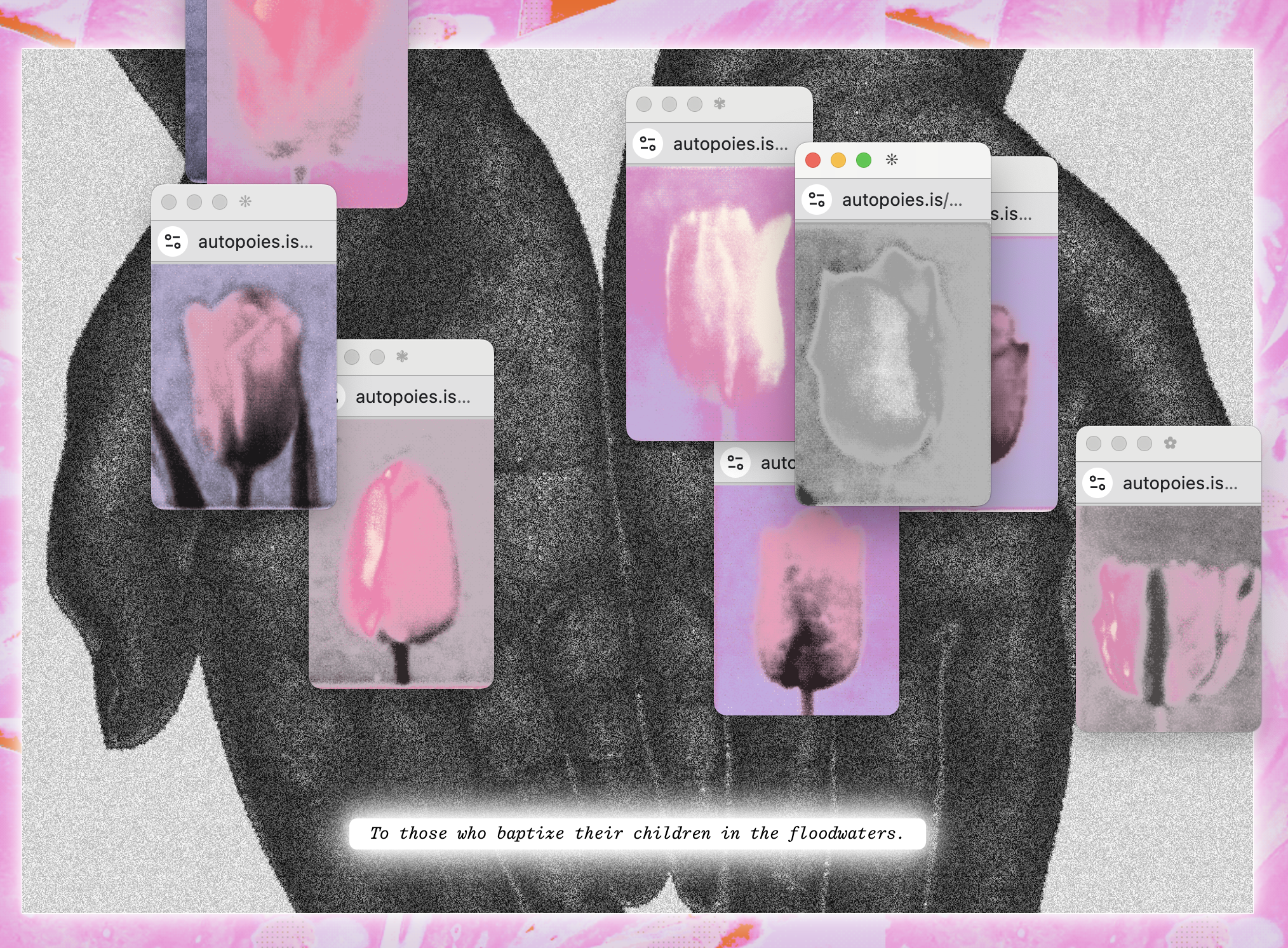Chia Amisola, here, flower picking, manila north, 2025, HTML, variable dimensions. Commissioned for Indiepocalypse. Image courtesy of artist.