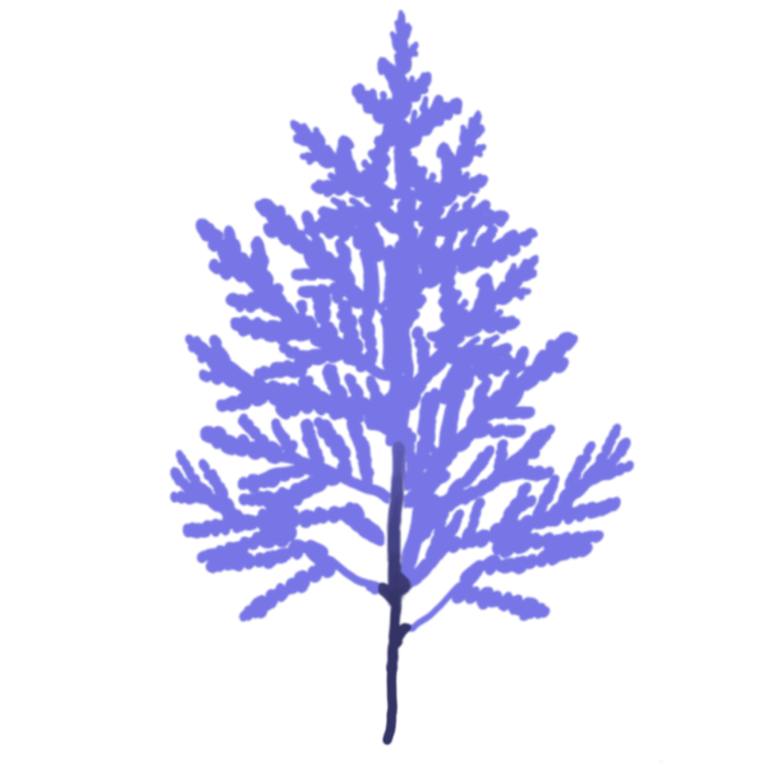 Kinship Pathways Alliance