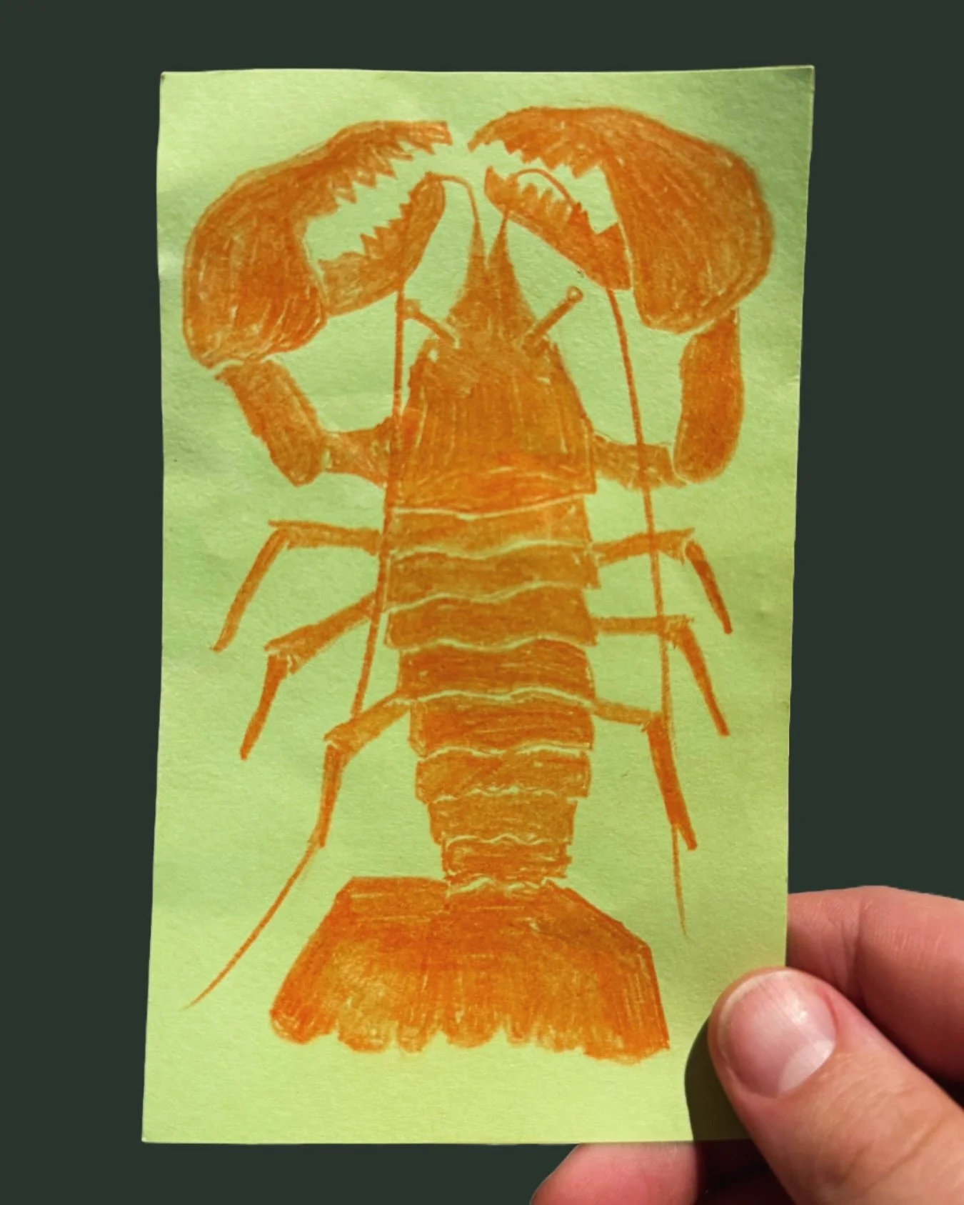 LOBSTER SKETCH

Trying to keep the creative juices flowing while on holiday in Cornwall, so what else to draw but a lobster?

#lobster #seafriends #sketch #artist #artistofinstagram #creative