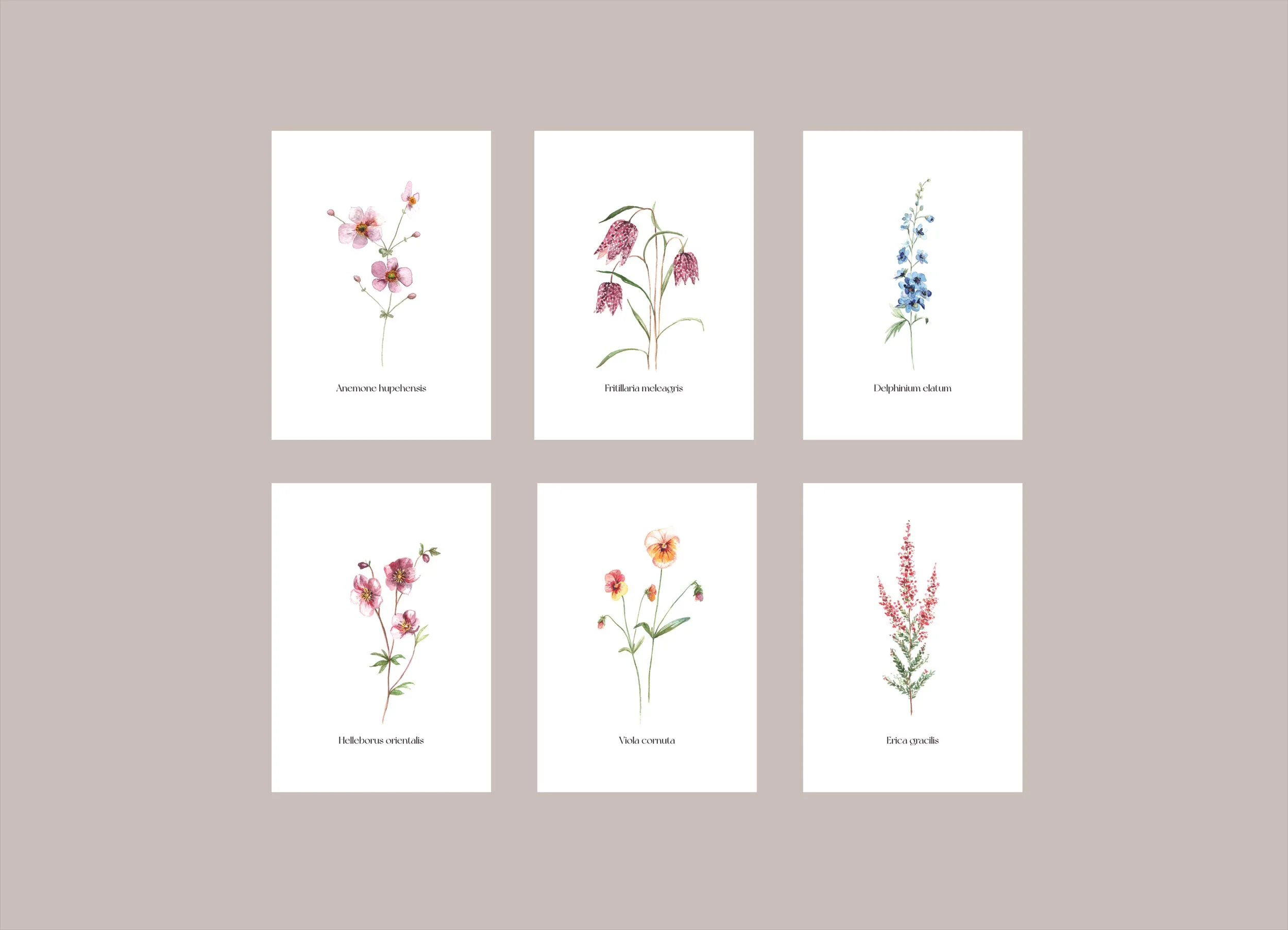 "Blumenwiese" Postkarten 6er-Set A6