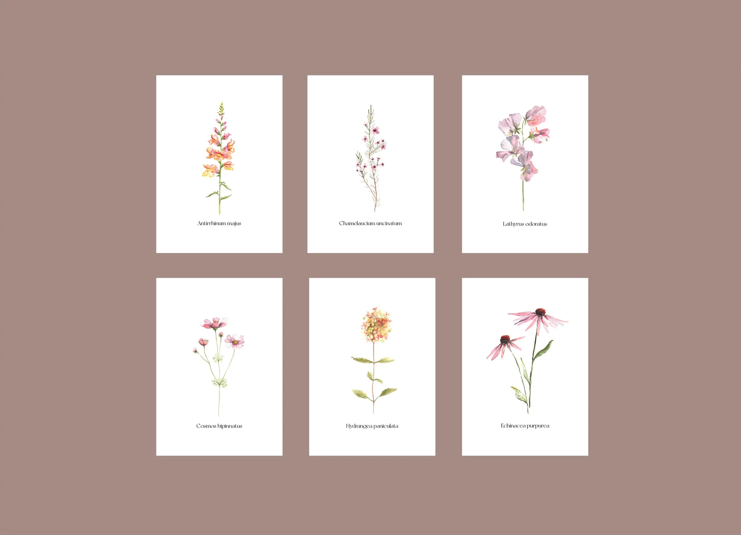 Blumenkarten Set Vorschau Website_2.jpg