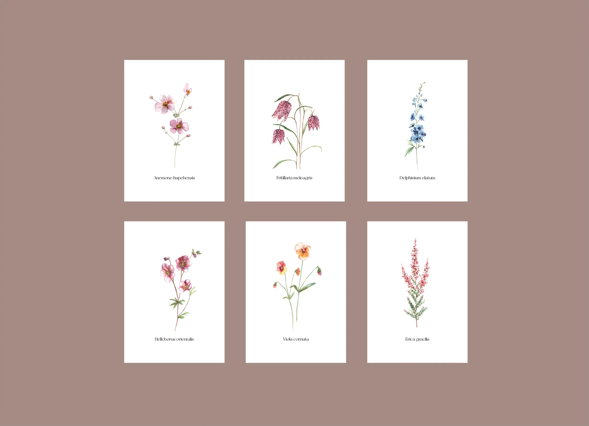 Blumenkarten Set Vorschau Website_3.jpg