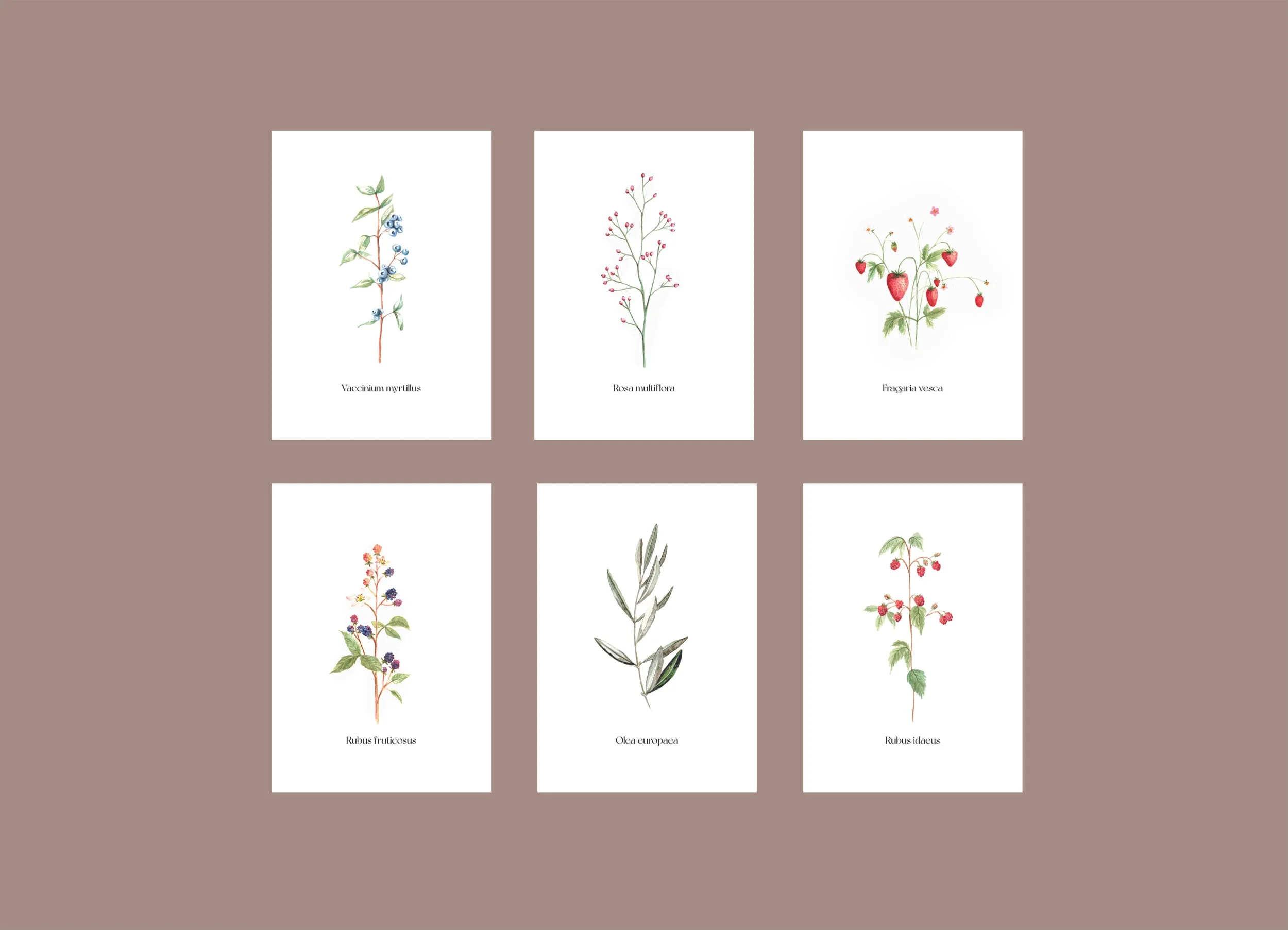 Blumenkarten Set Vorschau Website_1.jpg (Kopie)