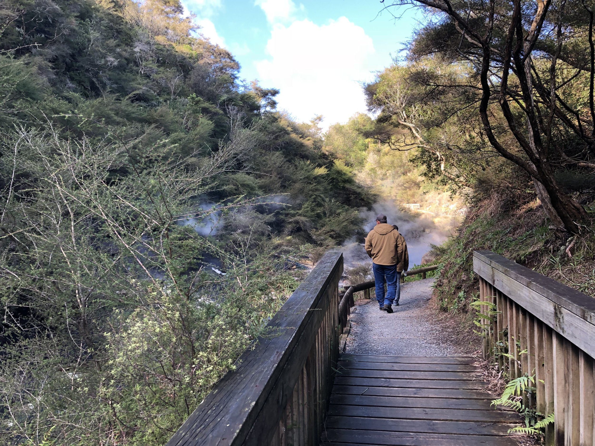 waimangu-walking-tour-tibbs.jpg