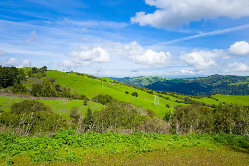 Green rolling hills with scattered trees, under a blue sky with clouds.