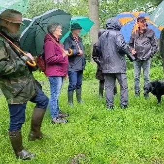 Een kijkje in het Groene Woud