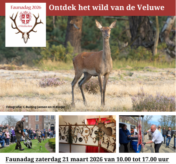 FAUNADAG MIDDACHTEN                                                       21 MAART 2026
