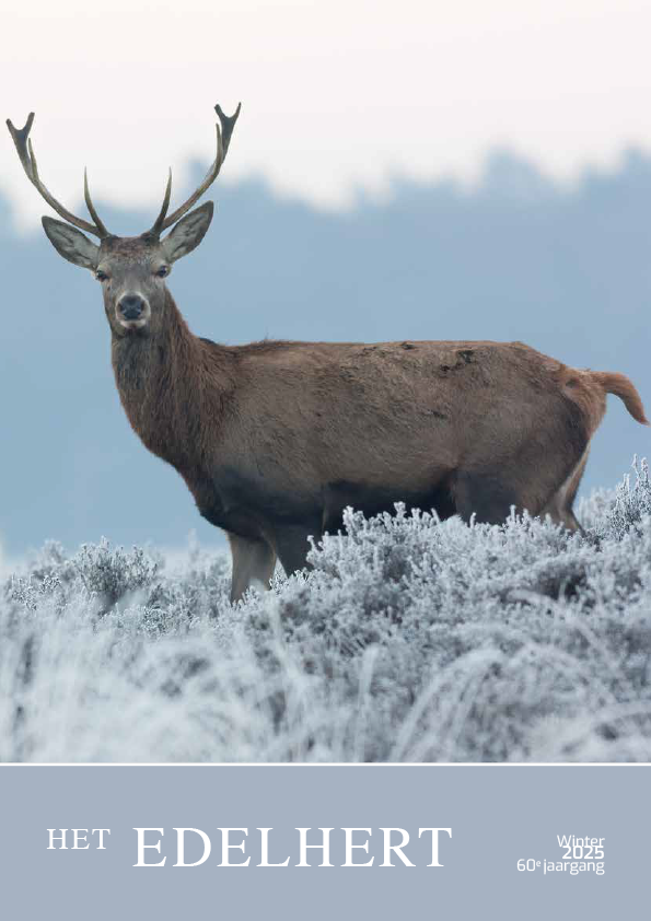 Winternummer 2025