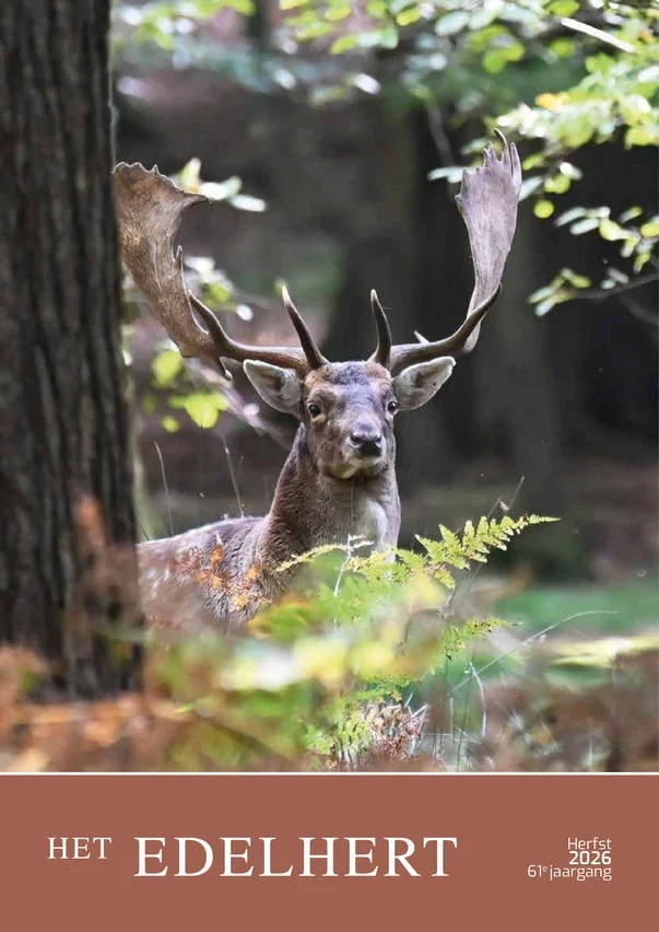 Herfstnummer 2026