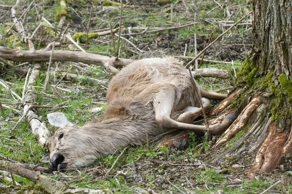 Enquete Vroege Vogels: Stop beheer OVP