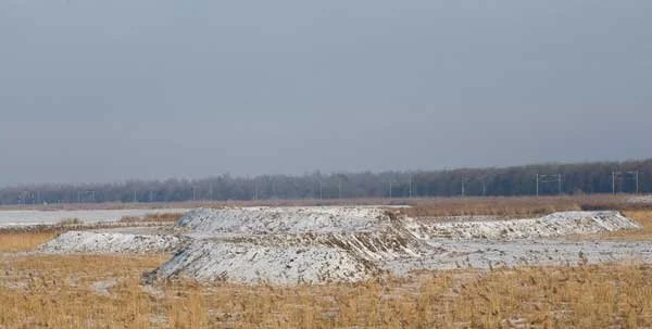 Edelherten Flevoland