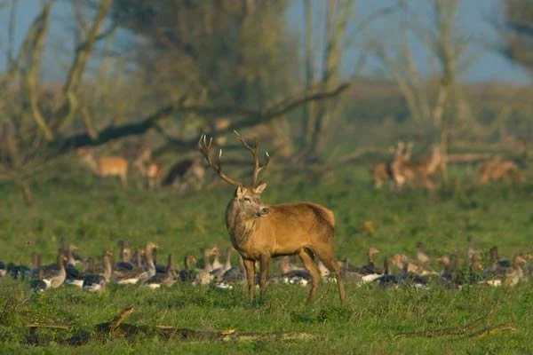 PERSBERICHT Oostvaarderplassen