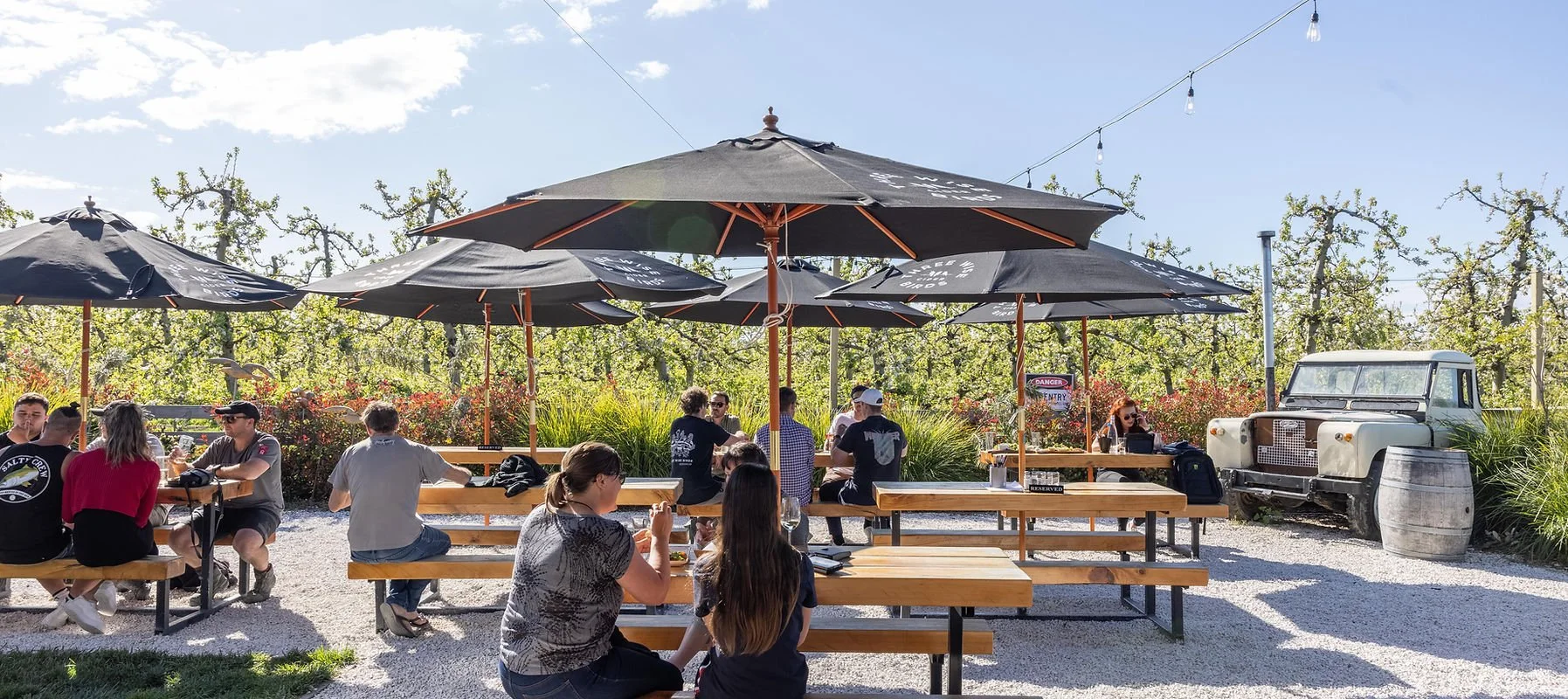 The Garden Bar at Three Wise Birds in Hastings