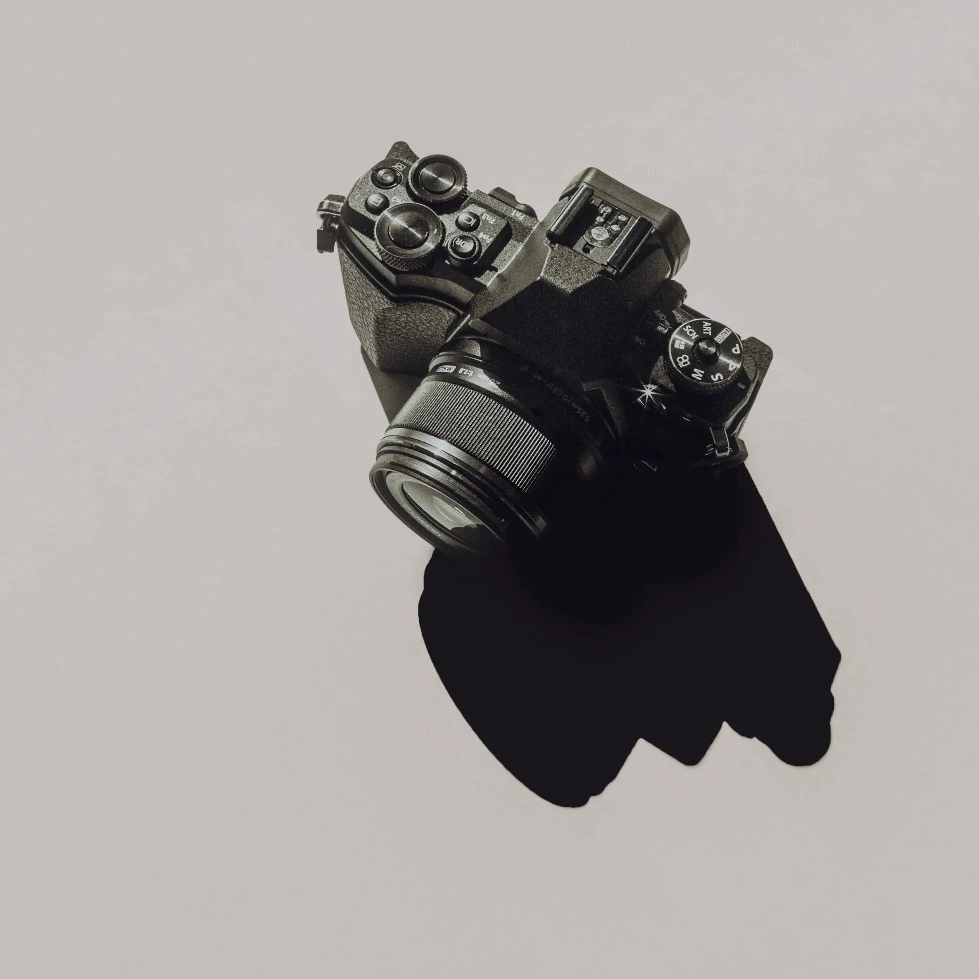 camera-and-shadow-2024-12-06-02-15-23-utc (1).jpg