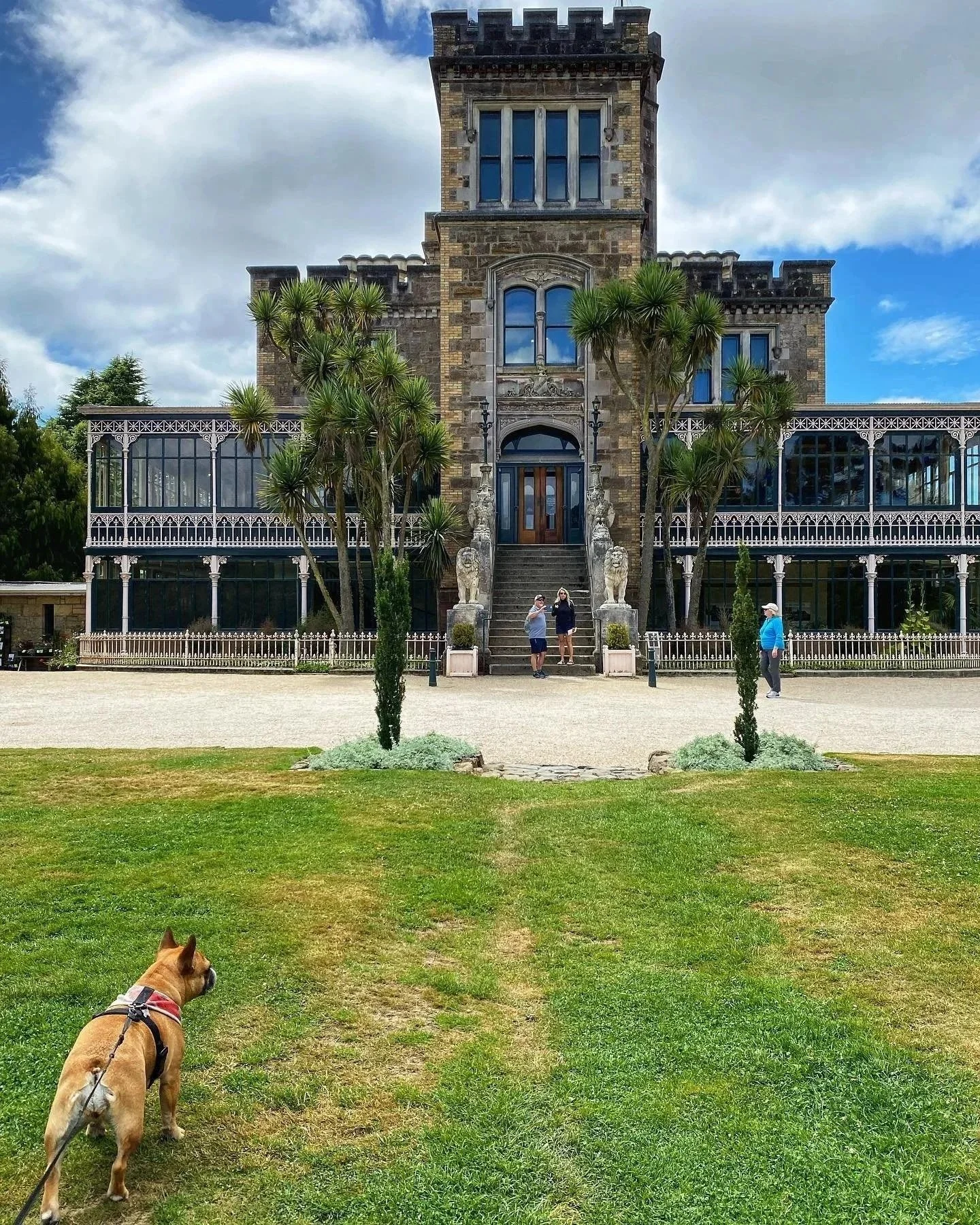 A large, historic mansion with a stone facade, multiple windows, and ornate details. In front, there are a few people standing on the steps, palm trees, and a fountain. The foreground has a grassy area with a dog on a leash facing the house.
