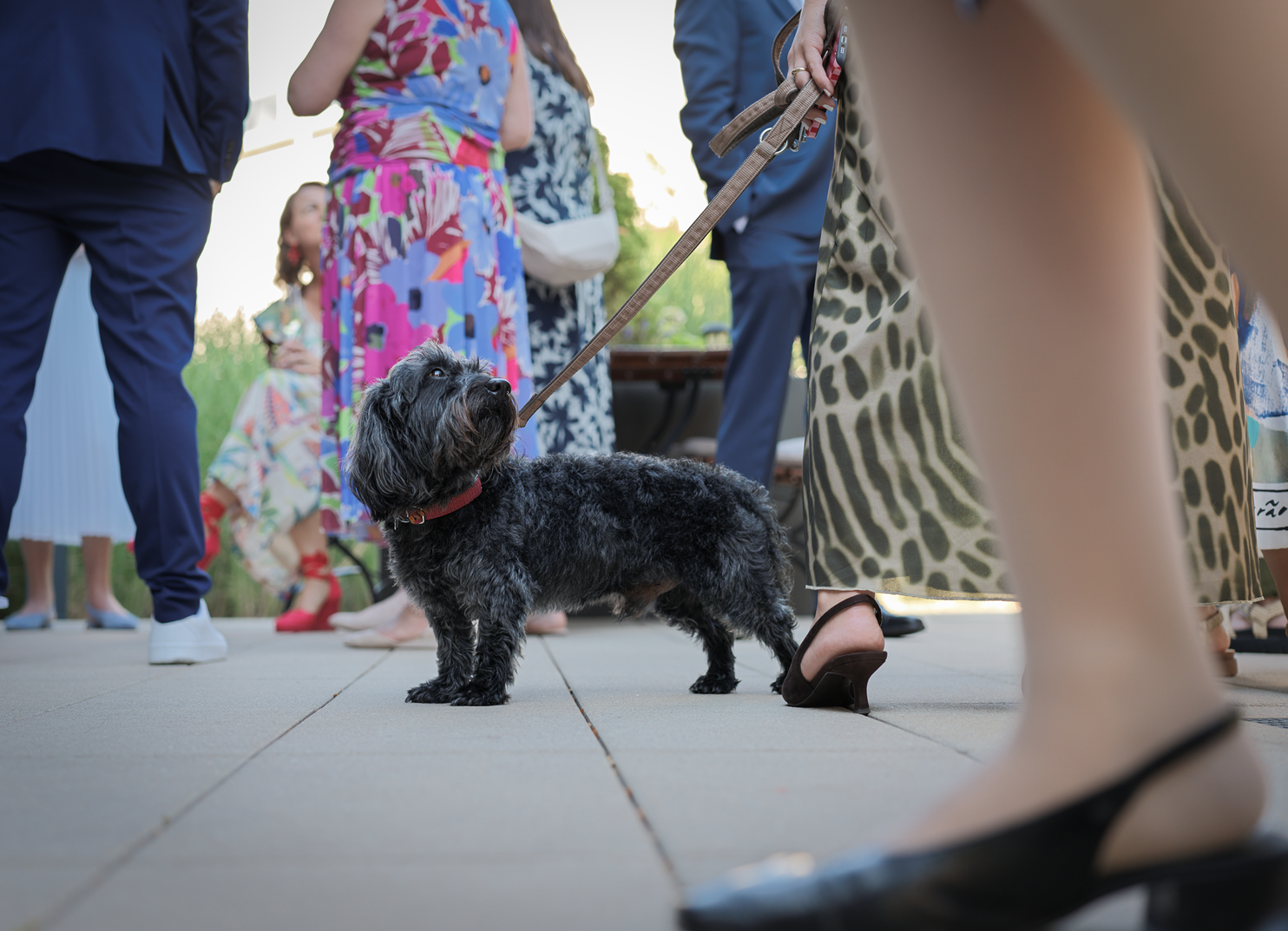 Eine Gruppe von Menschen, darunter eine Frau mit Leopardenmusterkleid und Hochhackschuhen, die einen kleinen schwarzen Hund mit Lockenwellen auf einer Terrasse hält. Die Szene wirkt wie eine gesellschaftliche Veranstaltung im Freien mit mehreren Gästen im Hintergrund.