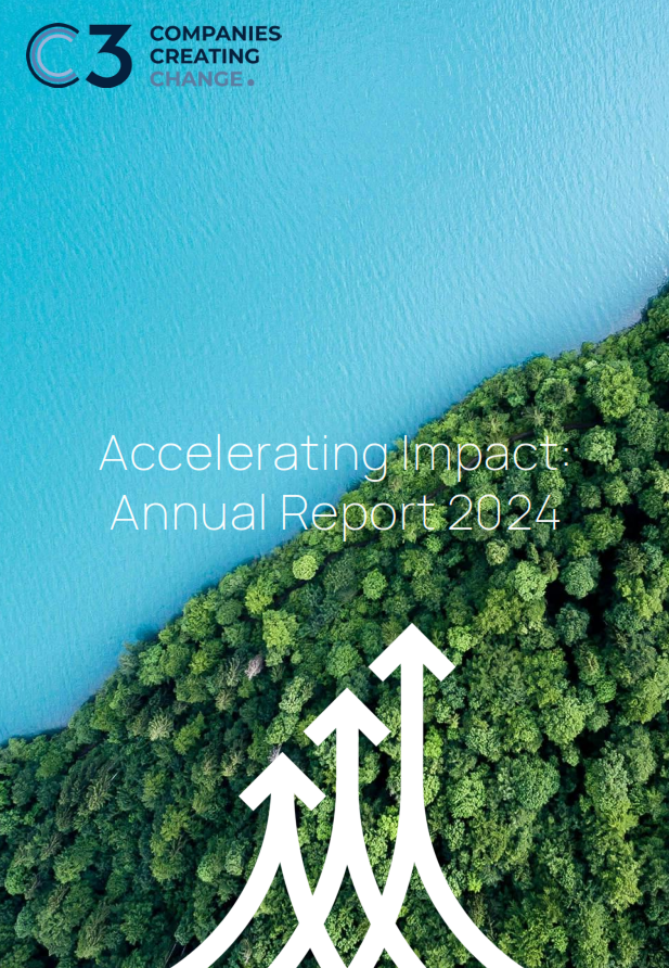 Accelerating Impact: Annual Report 2024