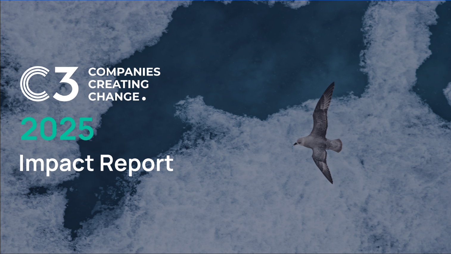 C3 Impact Report 2025</span>