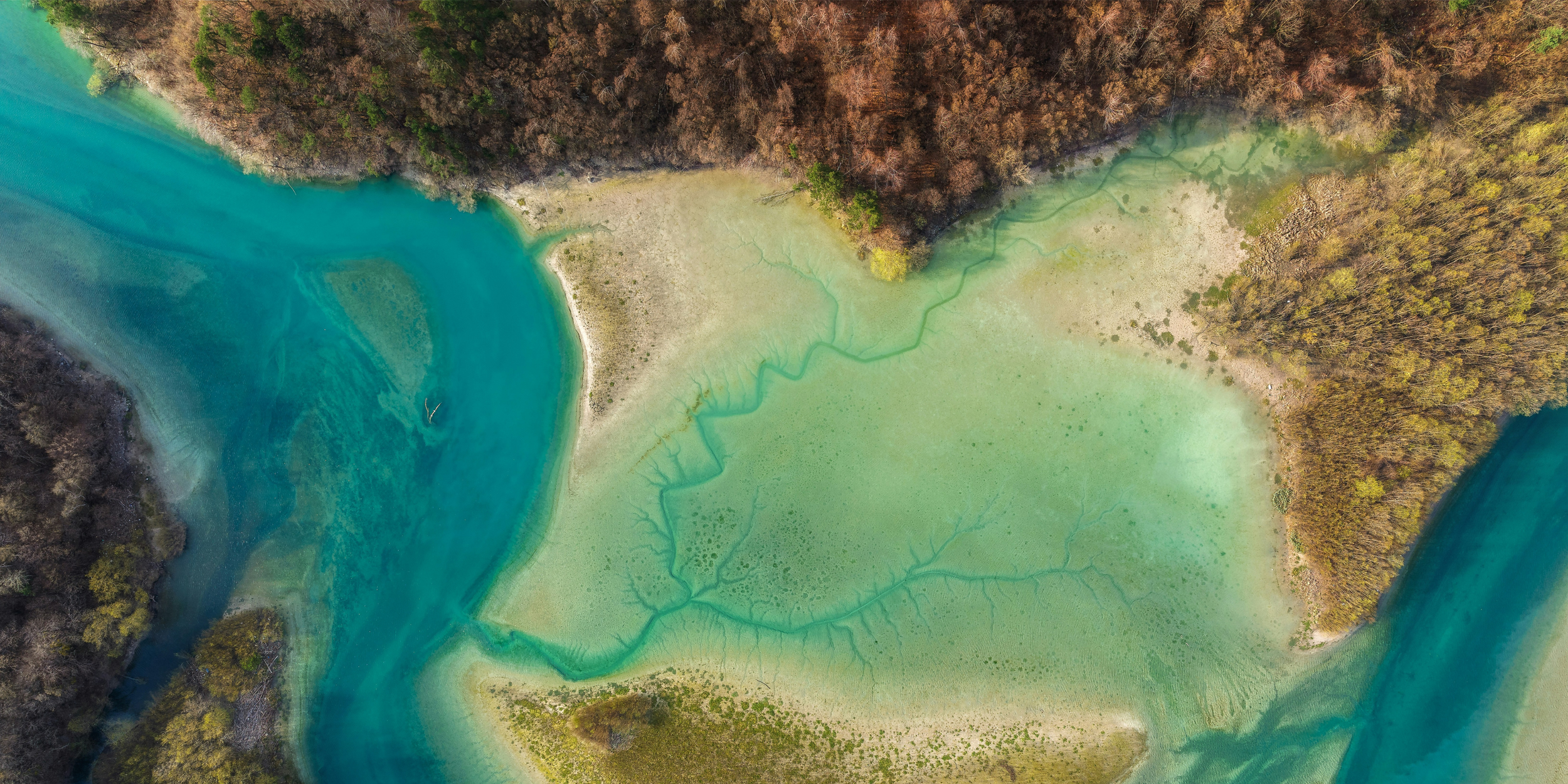 C3 Nature Impact Accelerator in partnership with HSBC