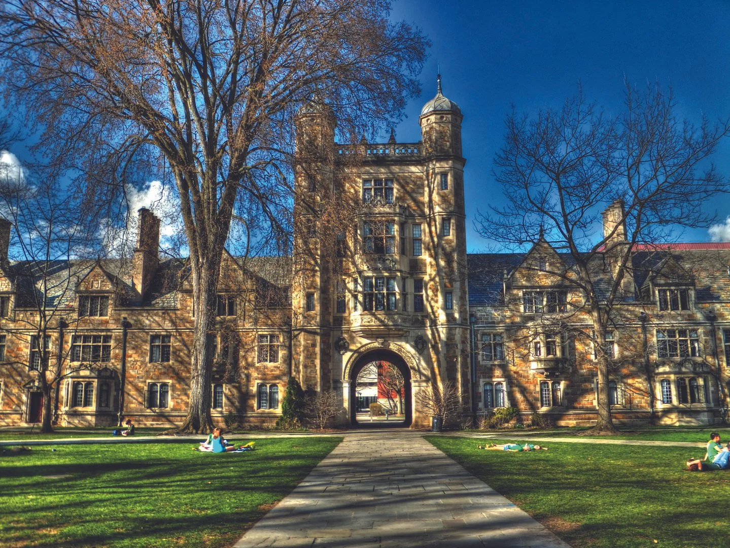 LogicPrep's 2025-2026 Early Acceptances