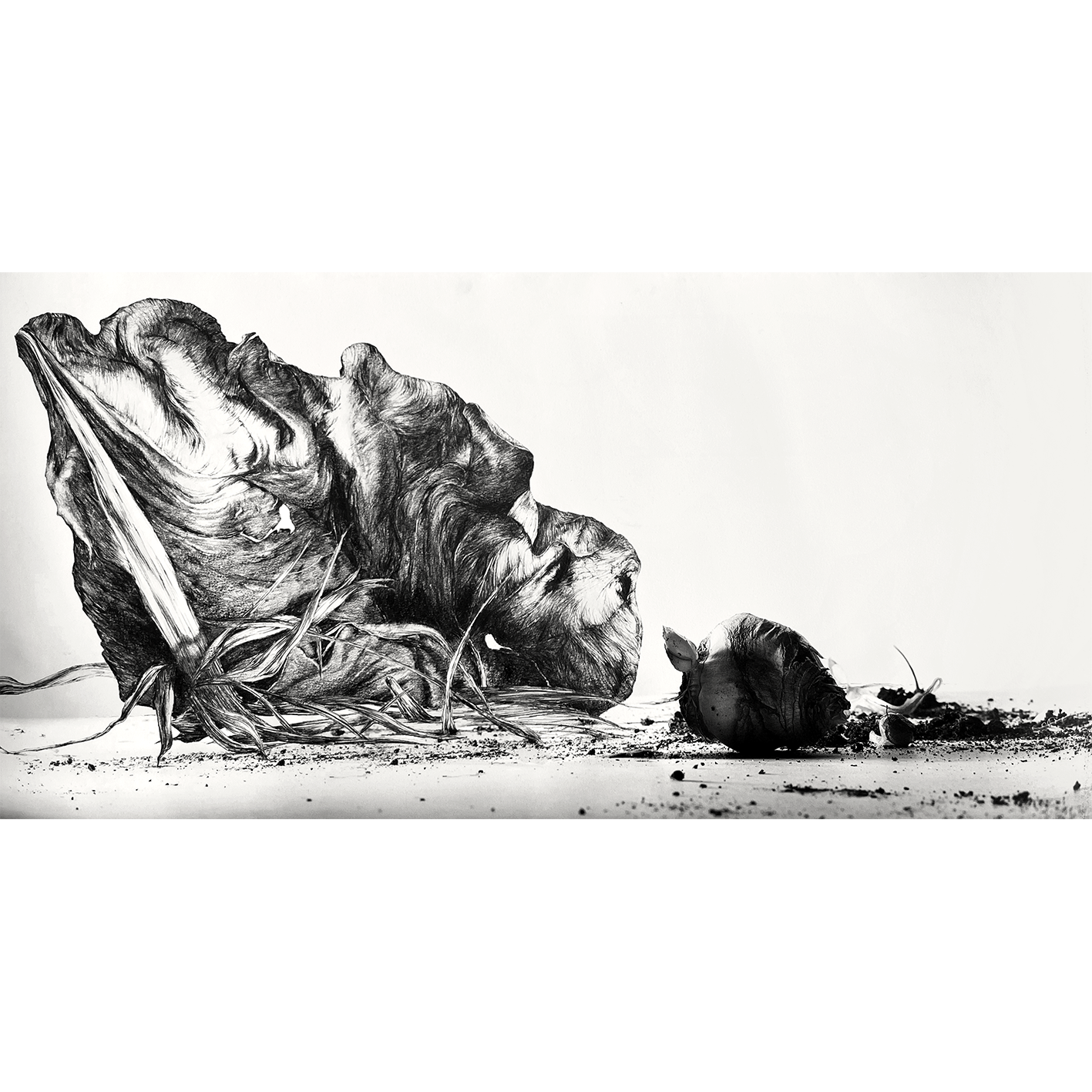 Konik Polny, 2024 66x33cm >