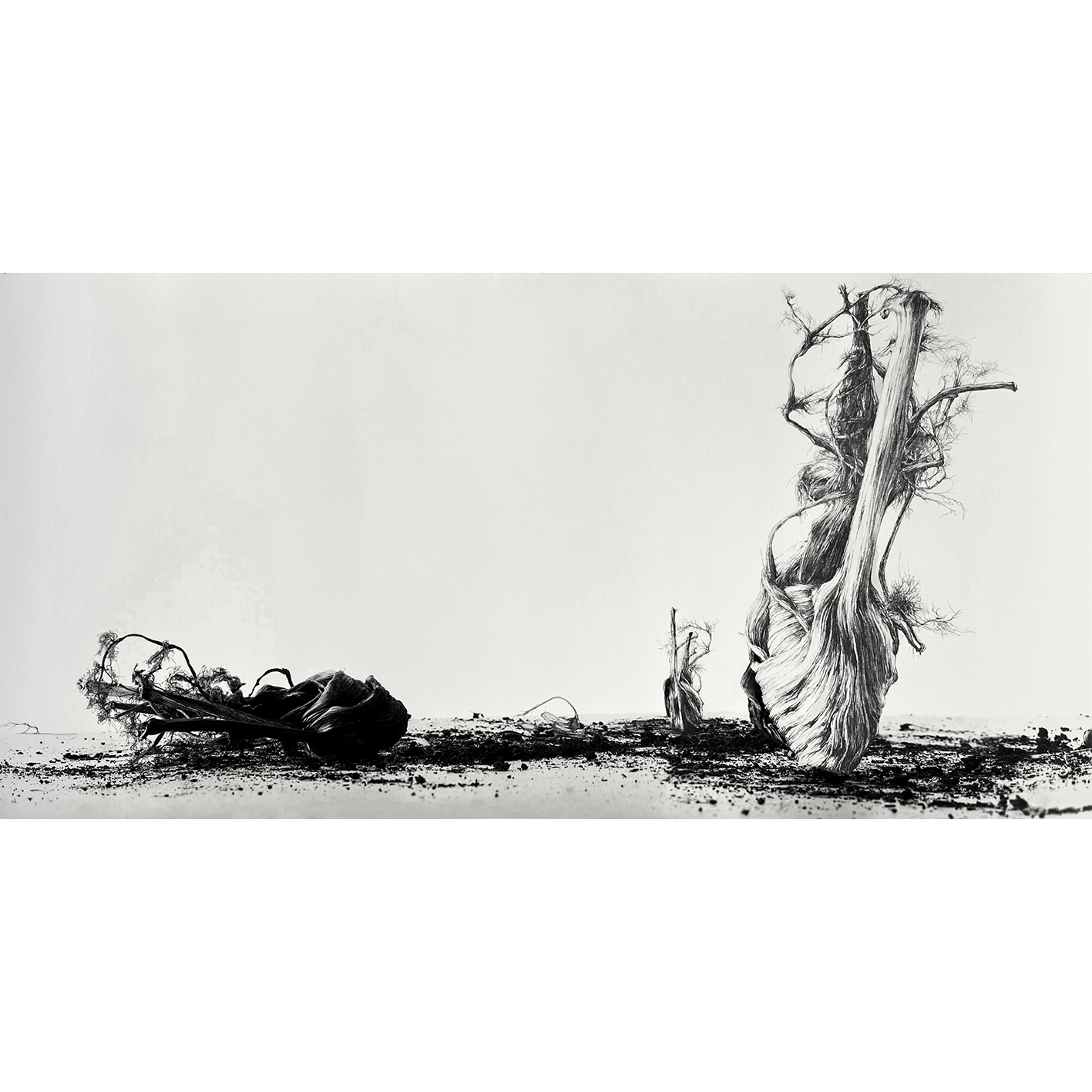Płyniemy, 2024 66x33cm >