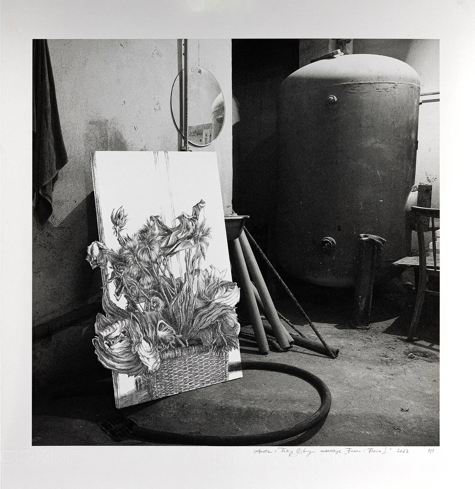 Fauna i Flora .1, 2022   30 x 30 cm