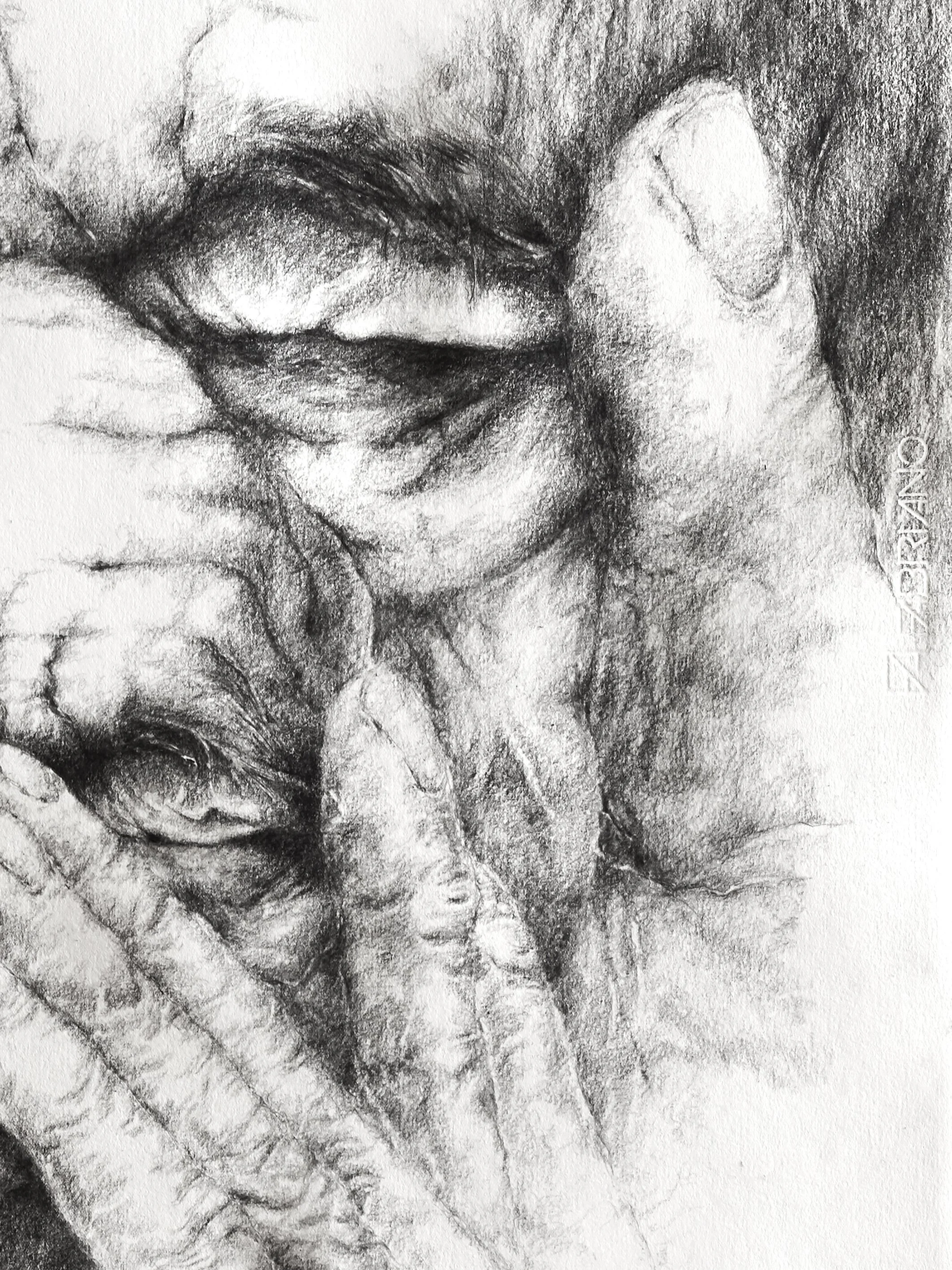 DRAWINGS201802_Face2Face_70x100cm_detail_2.jpg