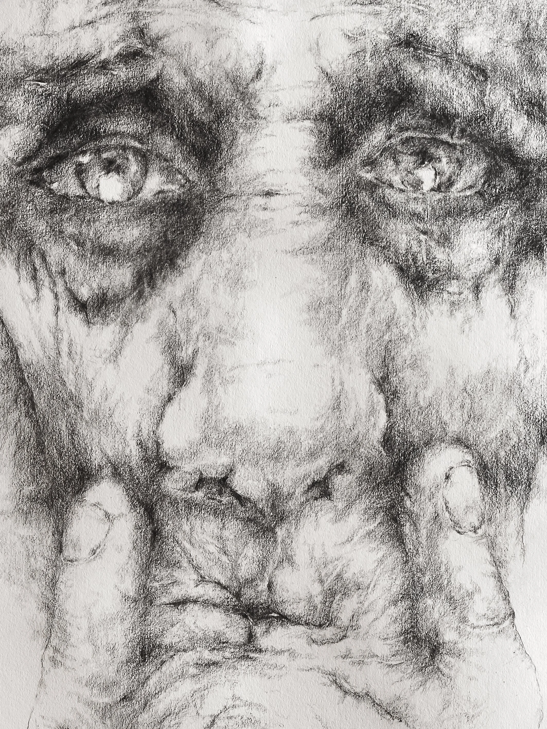 DRAWINGS201801_Dreaming_70x100cm_detail_4.jpg