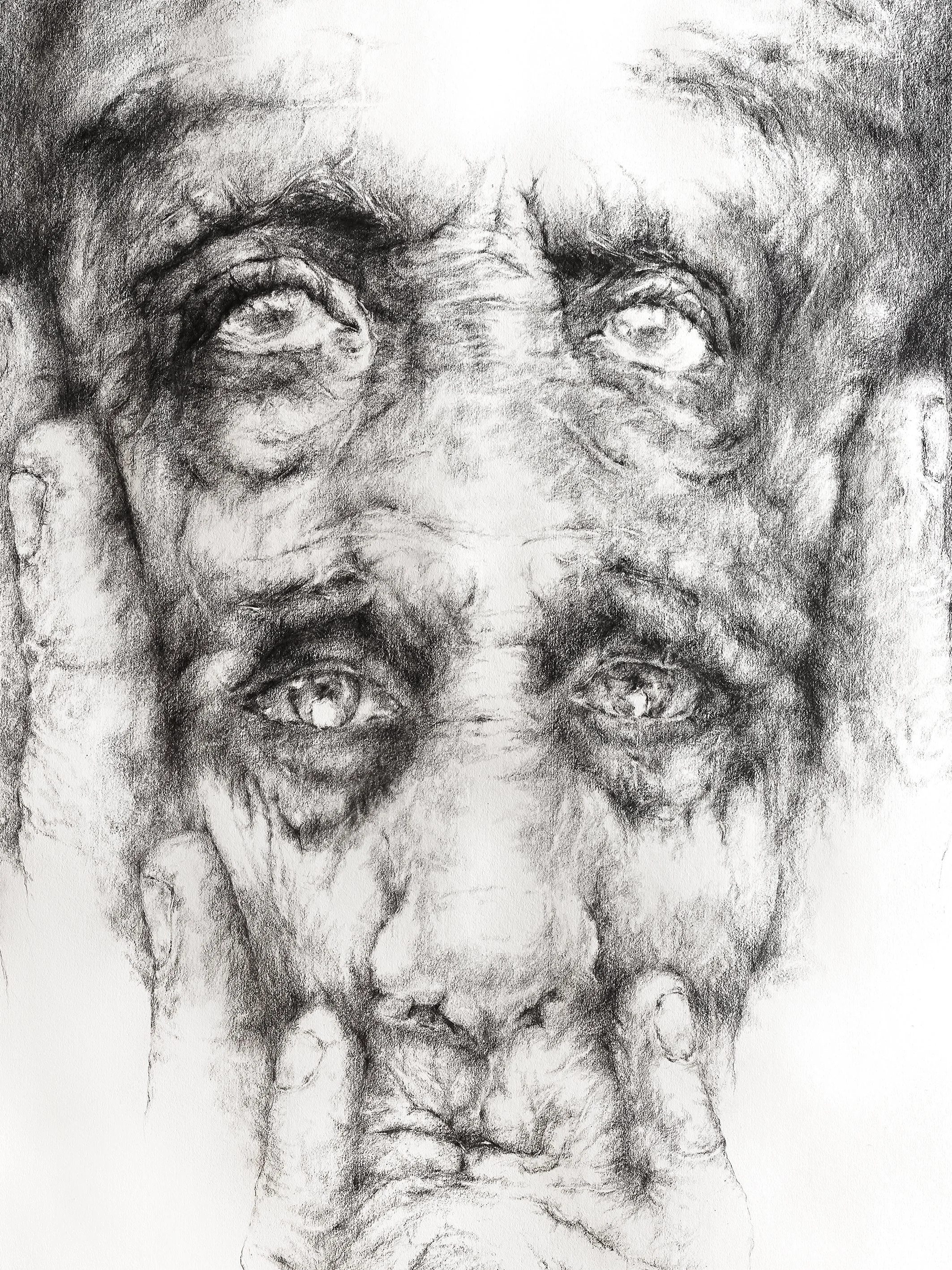 DRAWINGS201801_Dreaming_70x100cm_detail_1.jpg