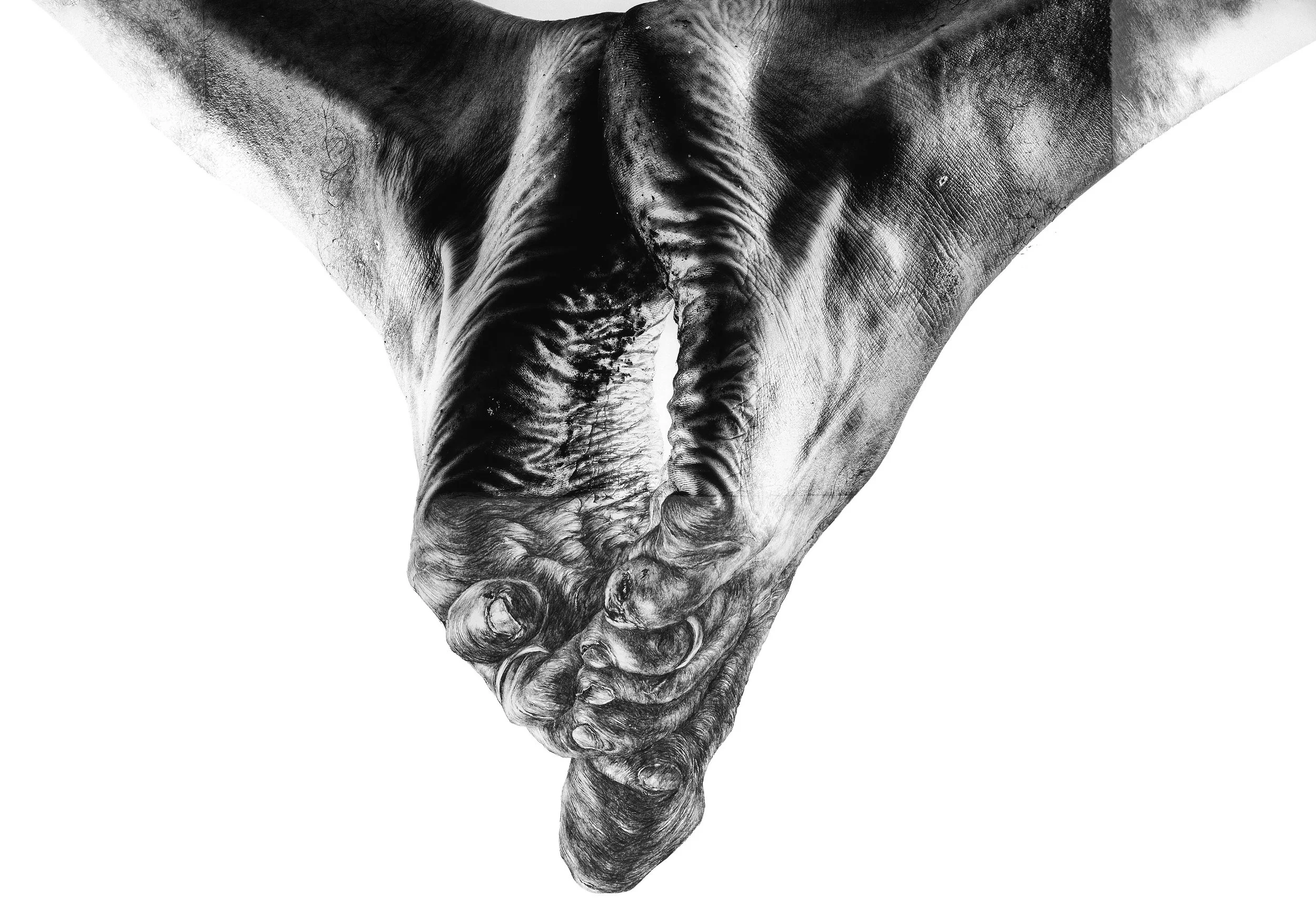 Marriage I_100x70cm www.jpg