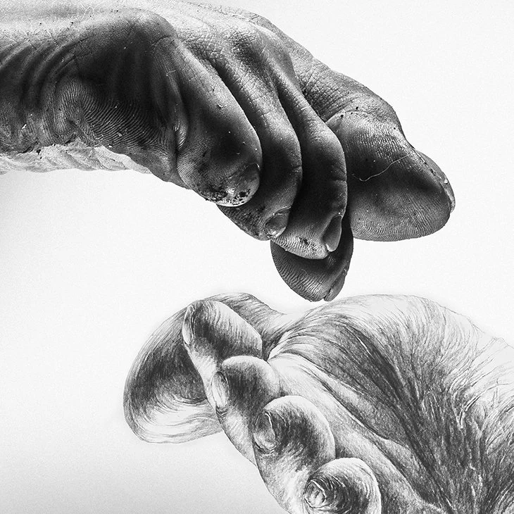 Kapliica Sekstyńska_100x70cm_detale 1.jpg
