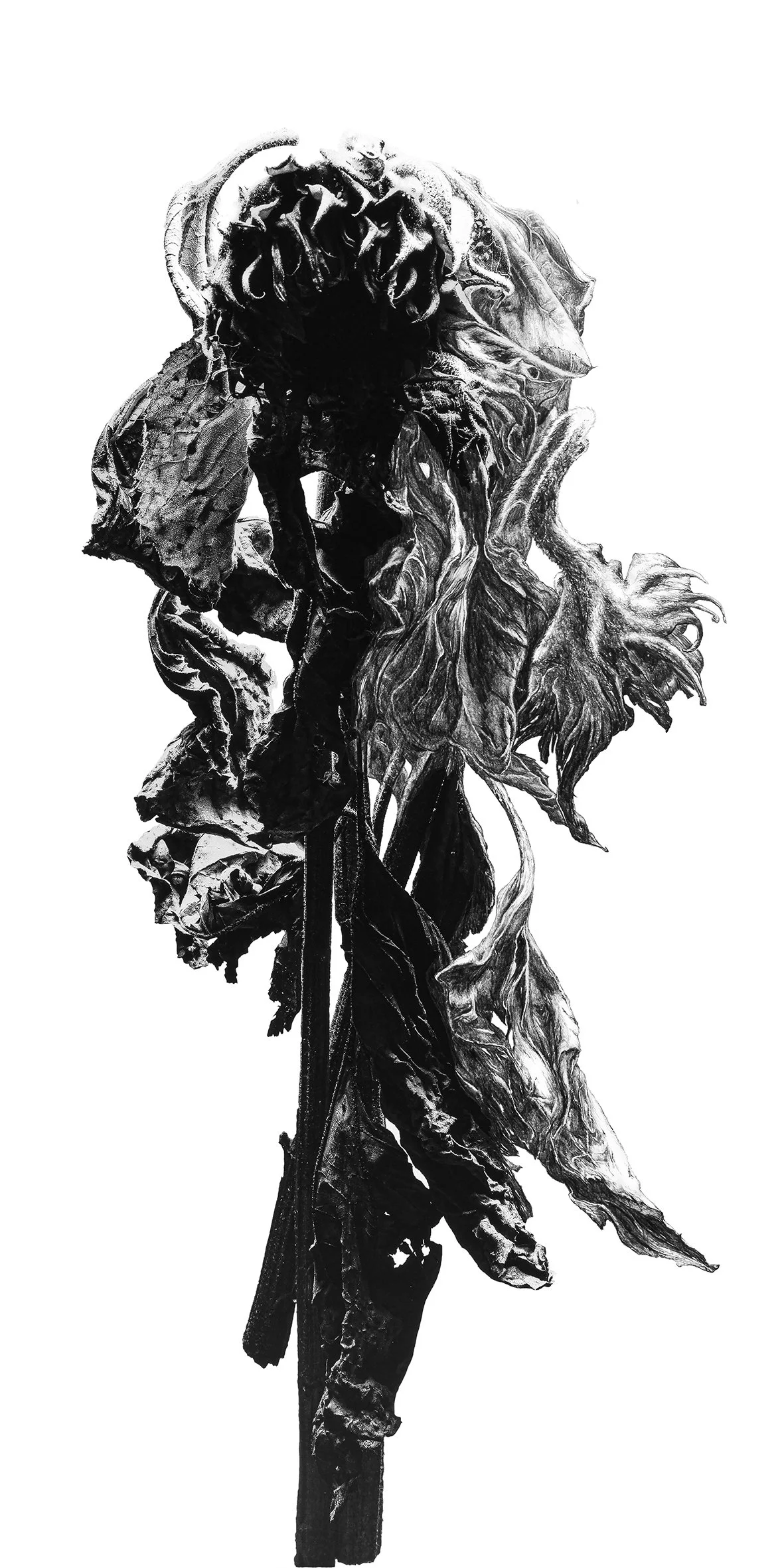 Drugie zycie II_www.jpg