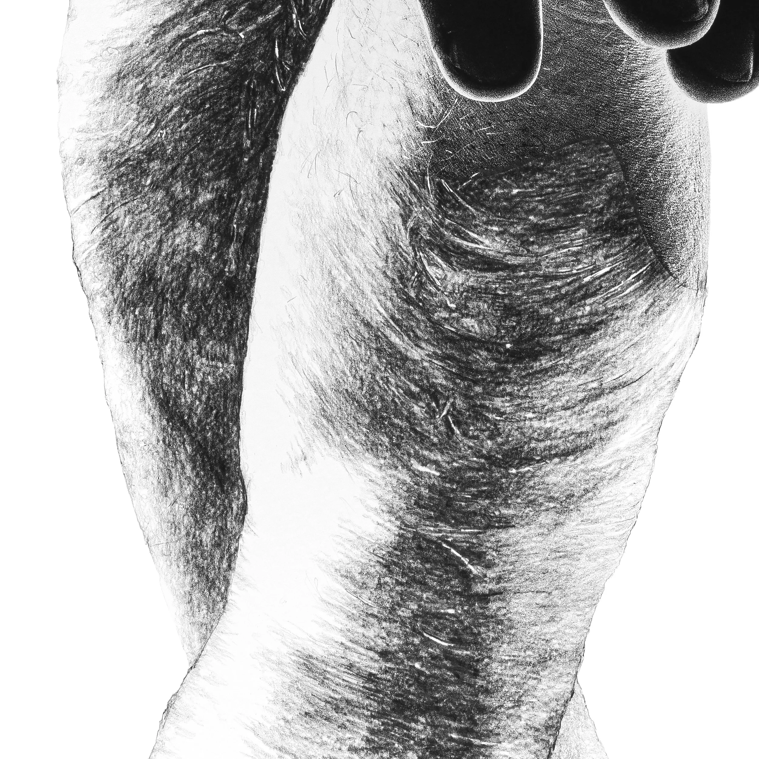 Kapryski_50x70cm_detal 3.jpg