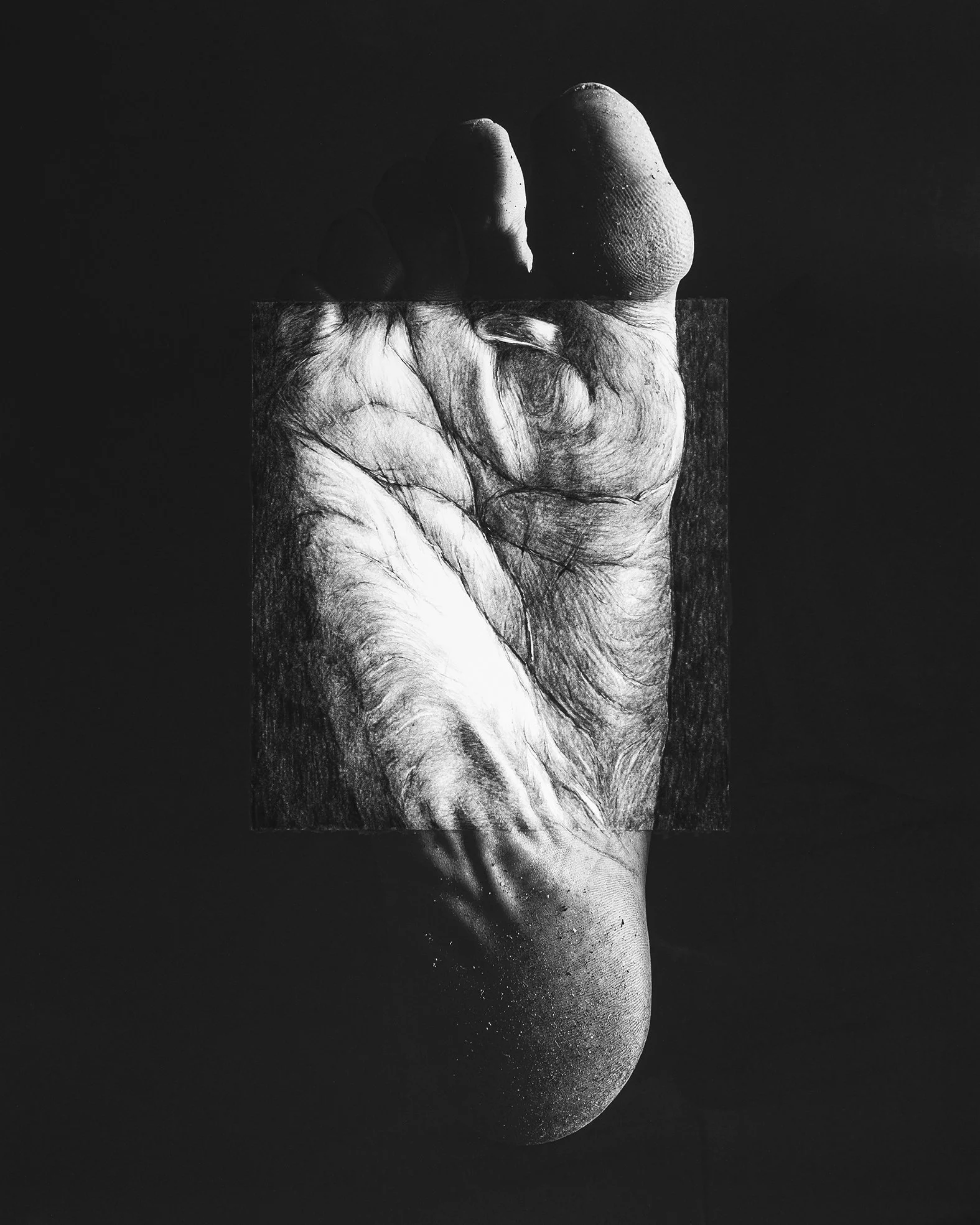 Linia zycia_www.jpg