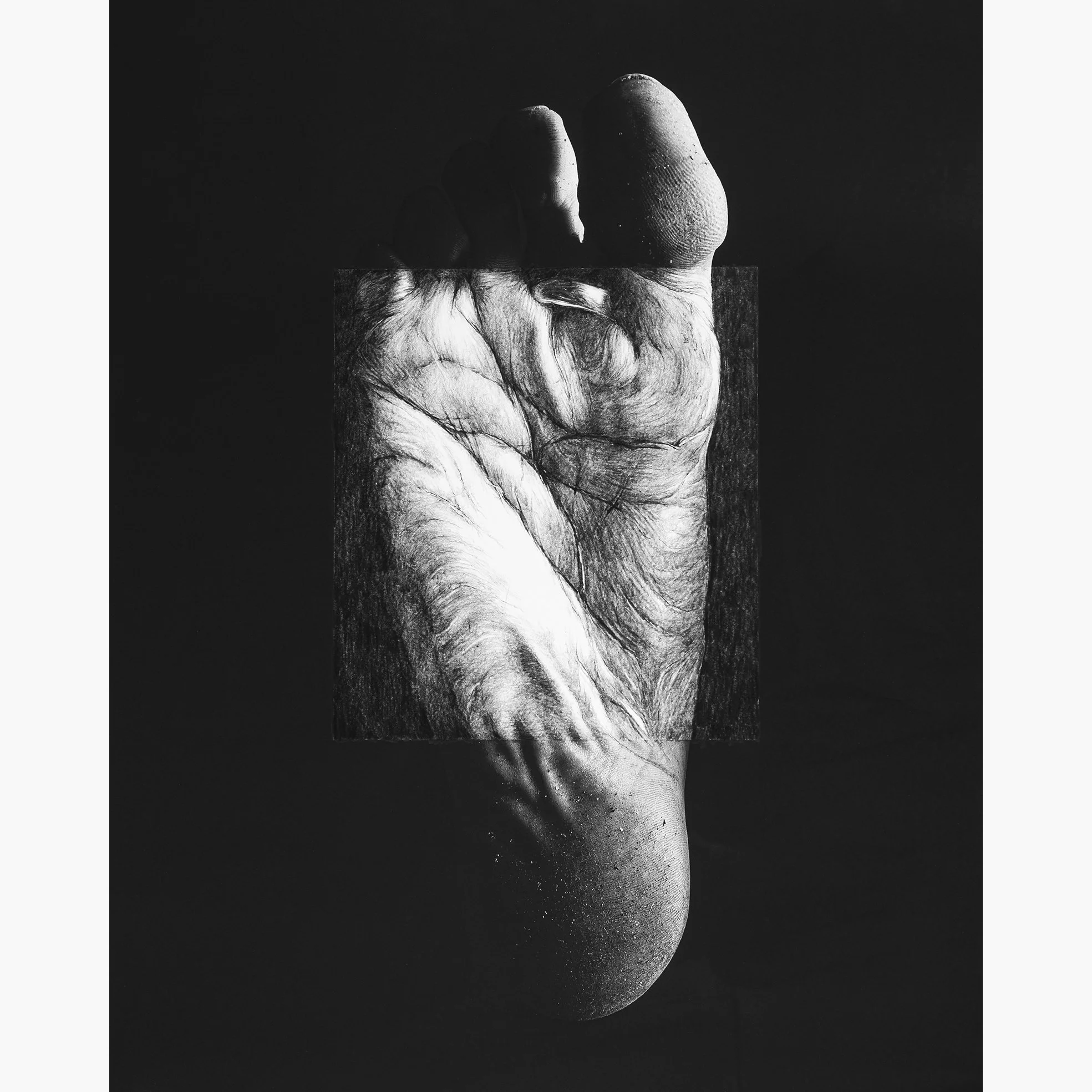 Linia życia, 2021
40 x 50 cm >