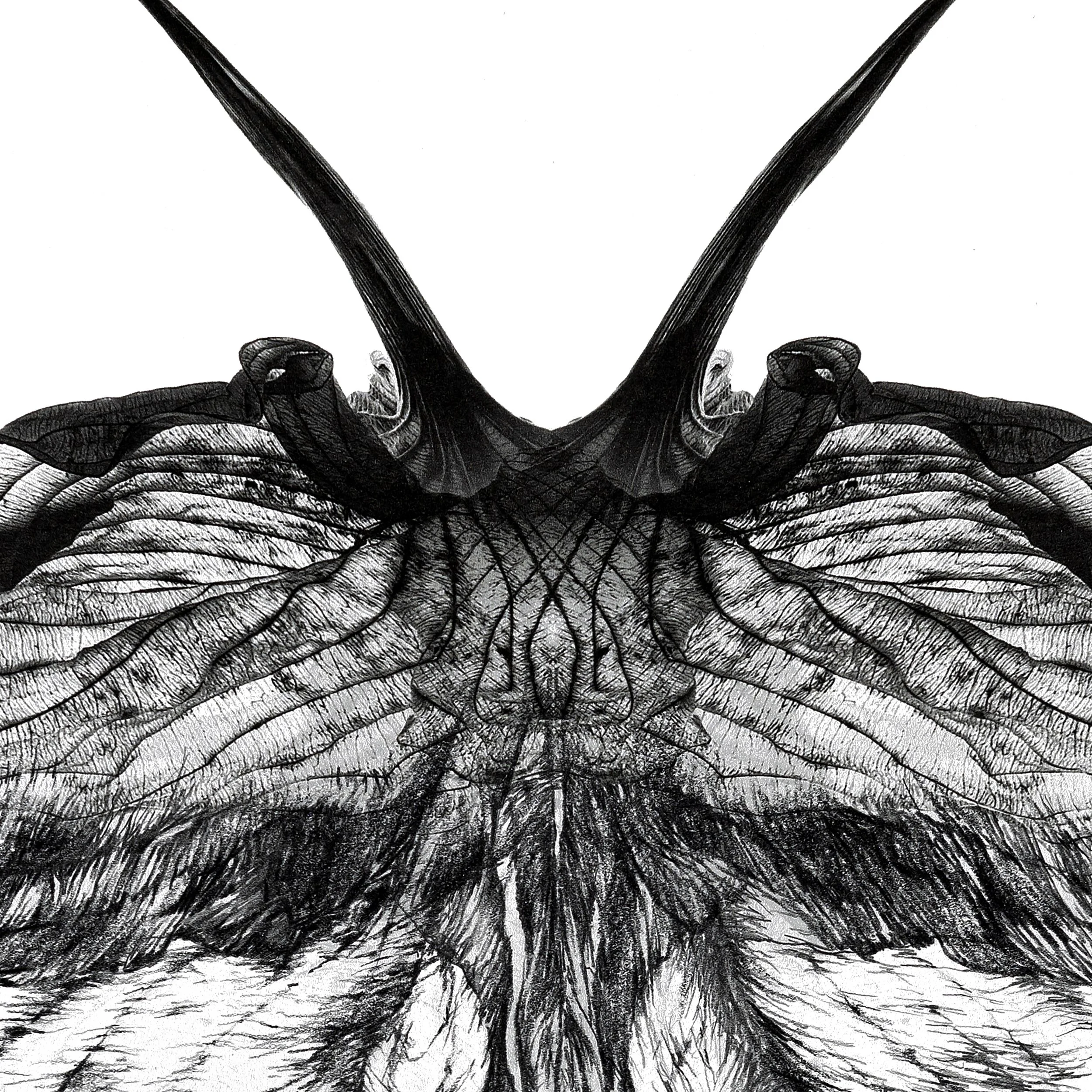 Le Papillon, 2022r. detal 1-kopia 2.jpg