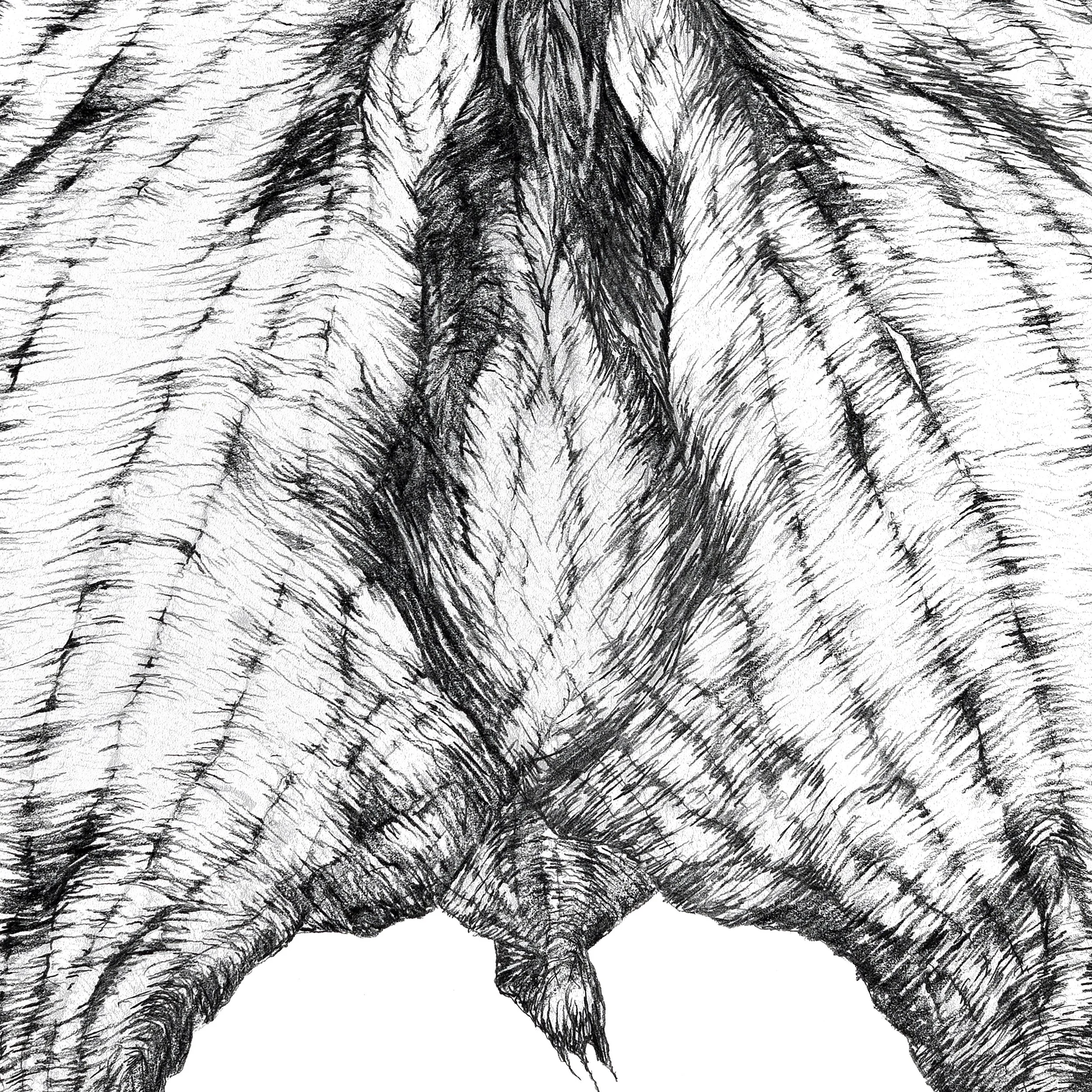 Le Papillon, 2022r. detal 1.jpg